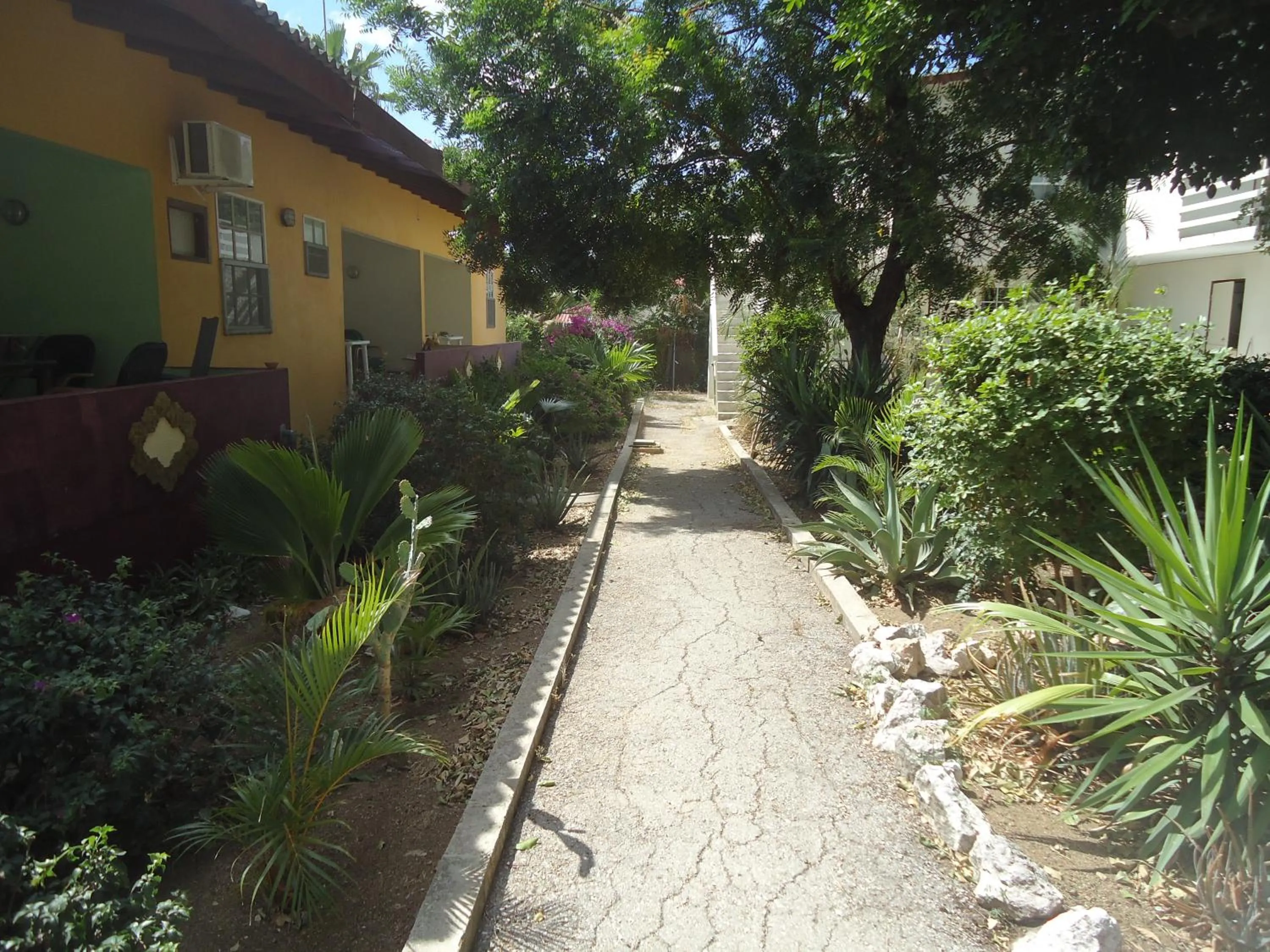 Day in Happy Turtle Apartments