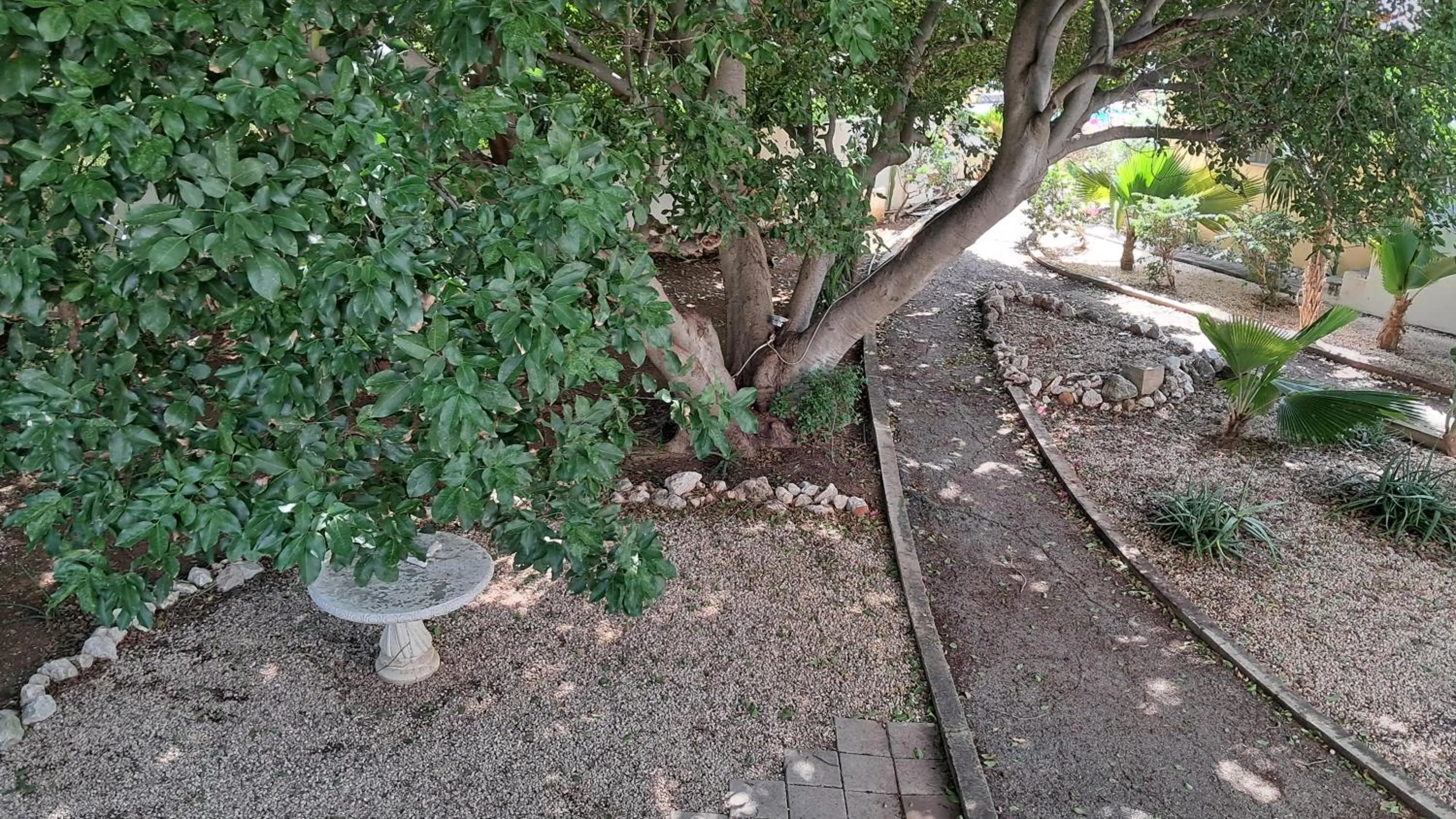 Happy Turtle Apartments