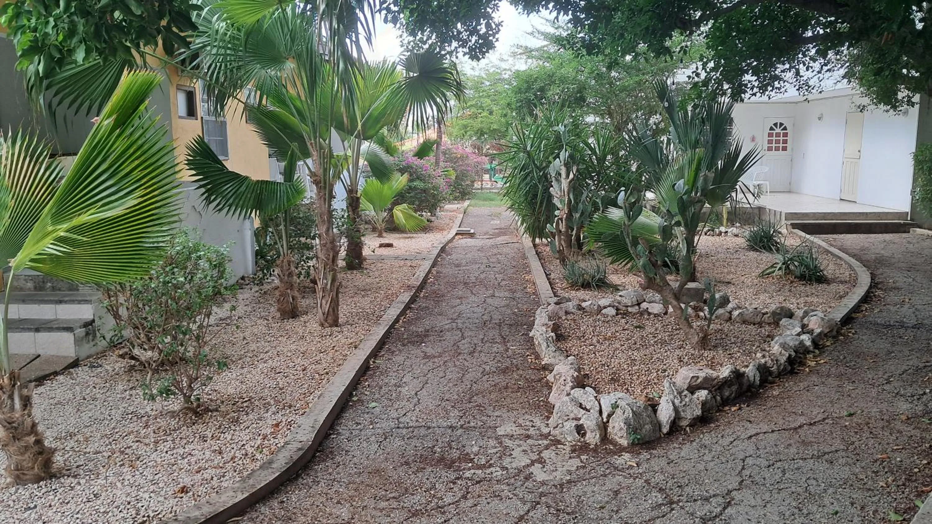 Garden in Happy Turtle Apartments