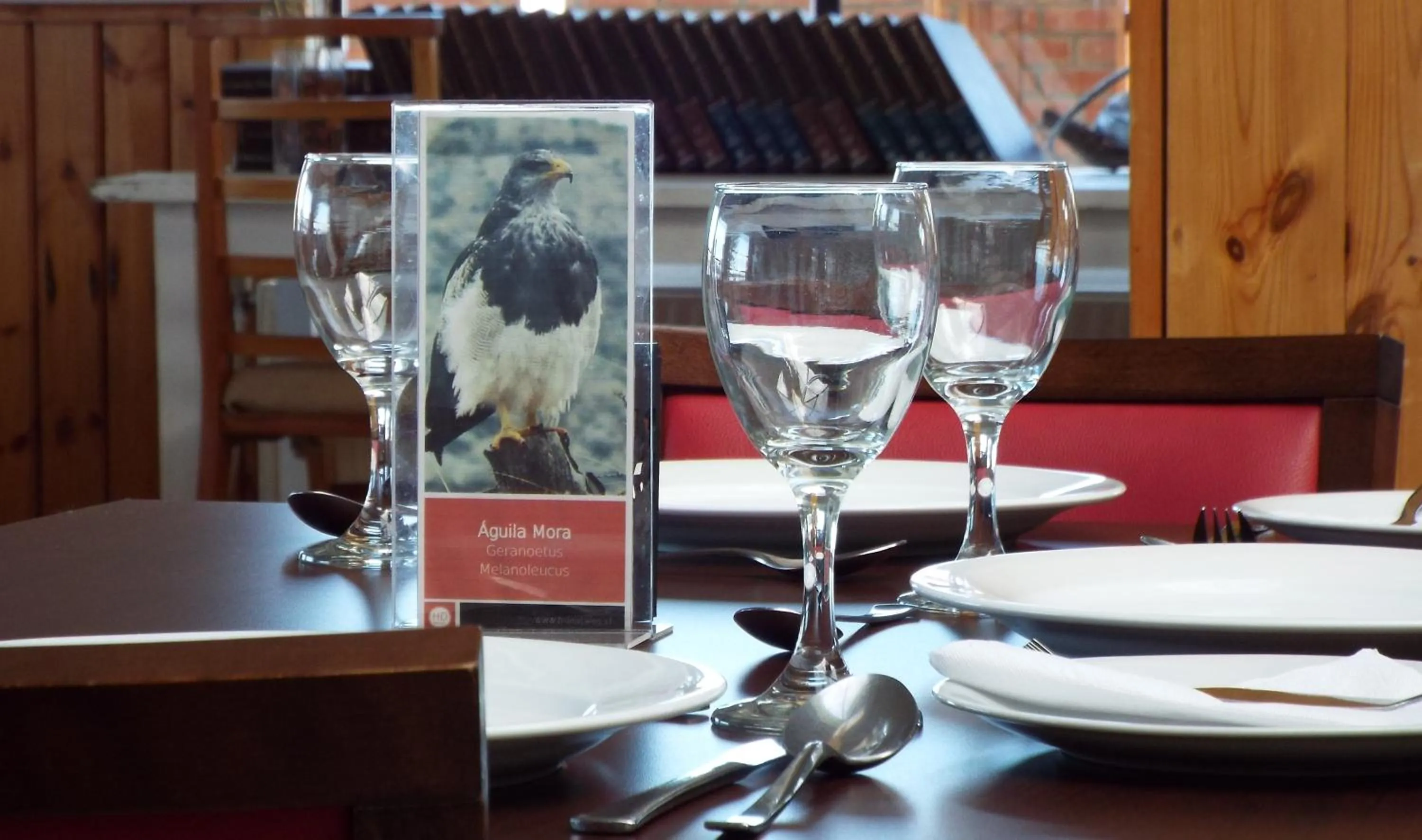 Food and drinks in Hotel HD Natales