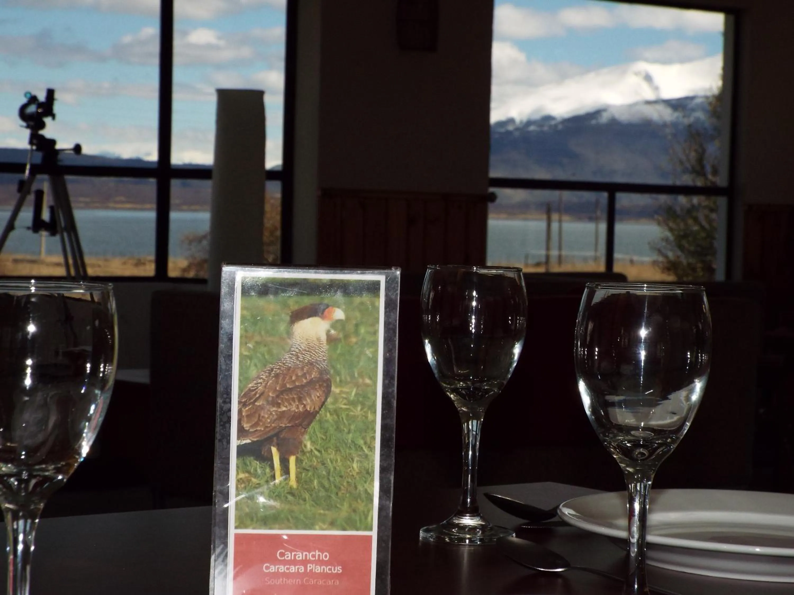 Food and drinks in Hotel HD Natales