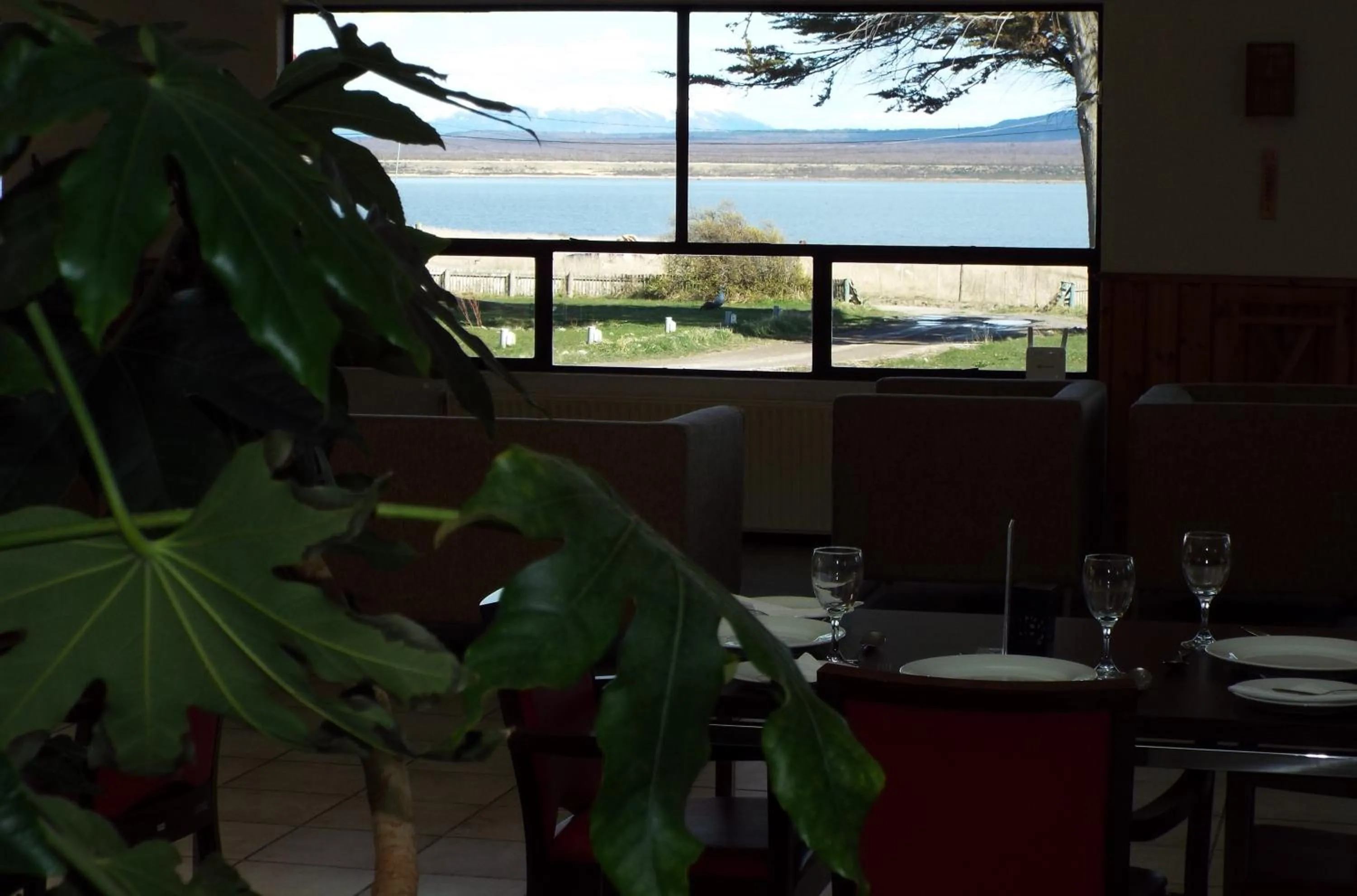 Food and drinks in Hotel HD Natales