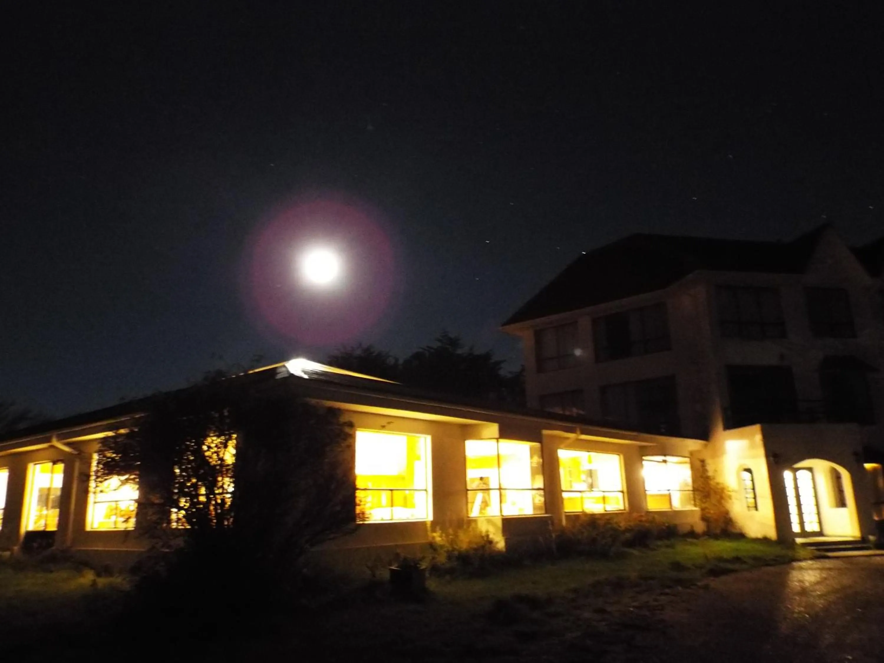 Garden in Hotel HD Natales