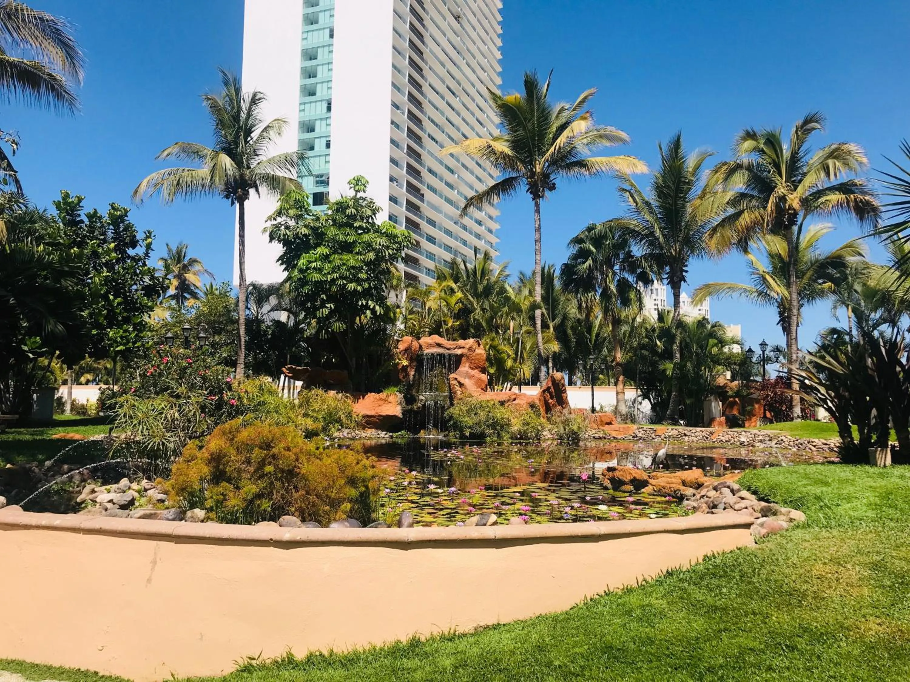 Garden in Costa Bonita Resort
