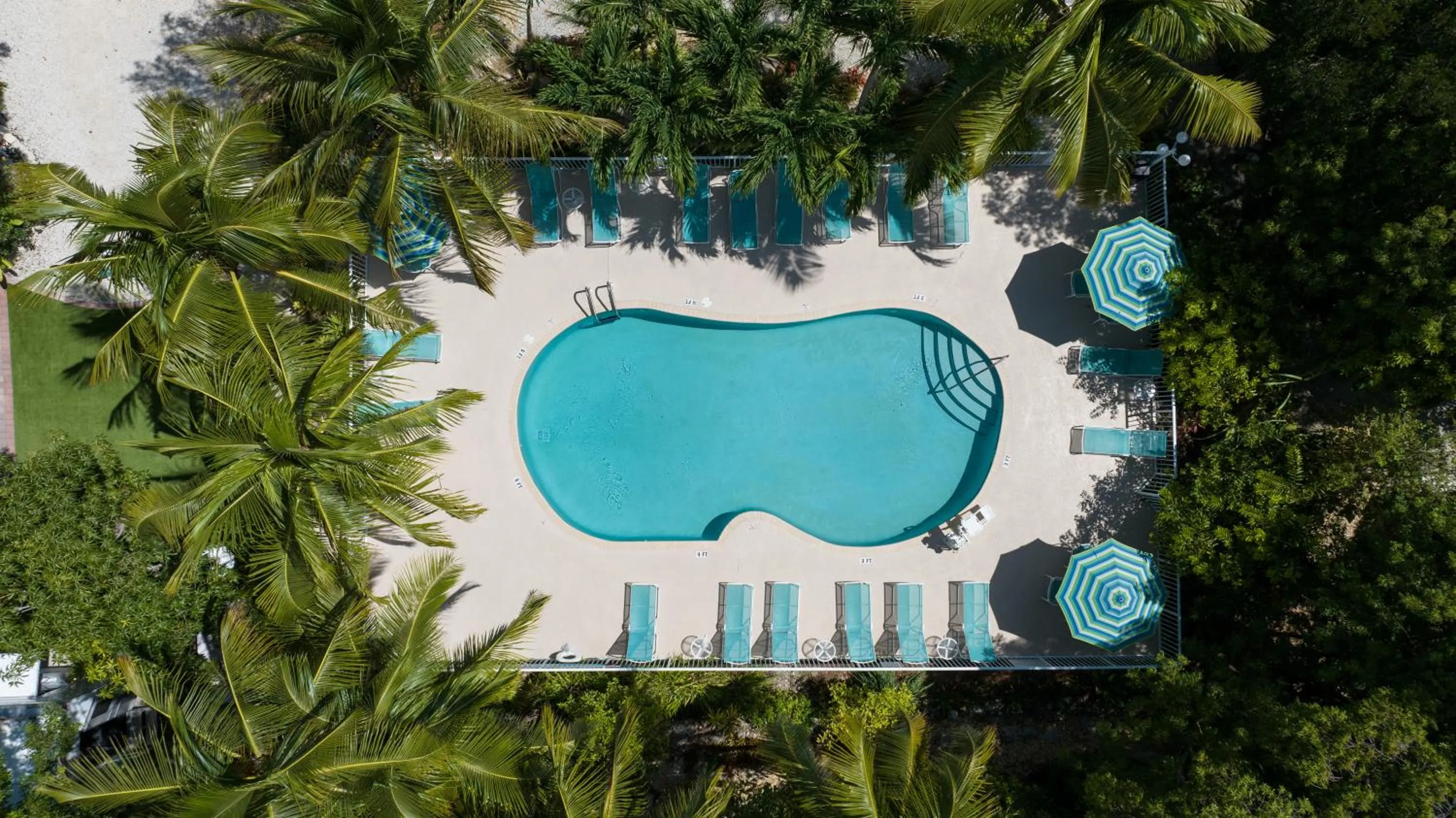 Swimming pool in Coconut Bay Resort - Key Largo