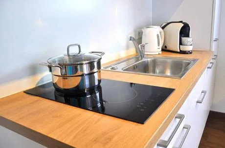 Kitchen or kitchenette in rent-my-apartment