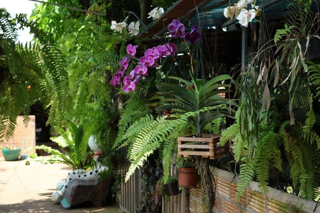 On site in De Wiang Kum Kam