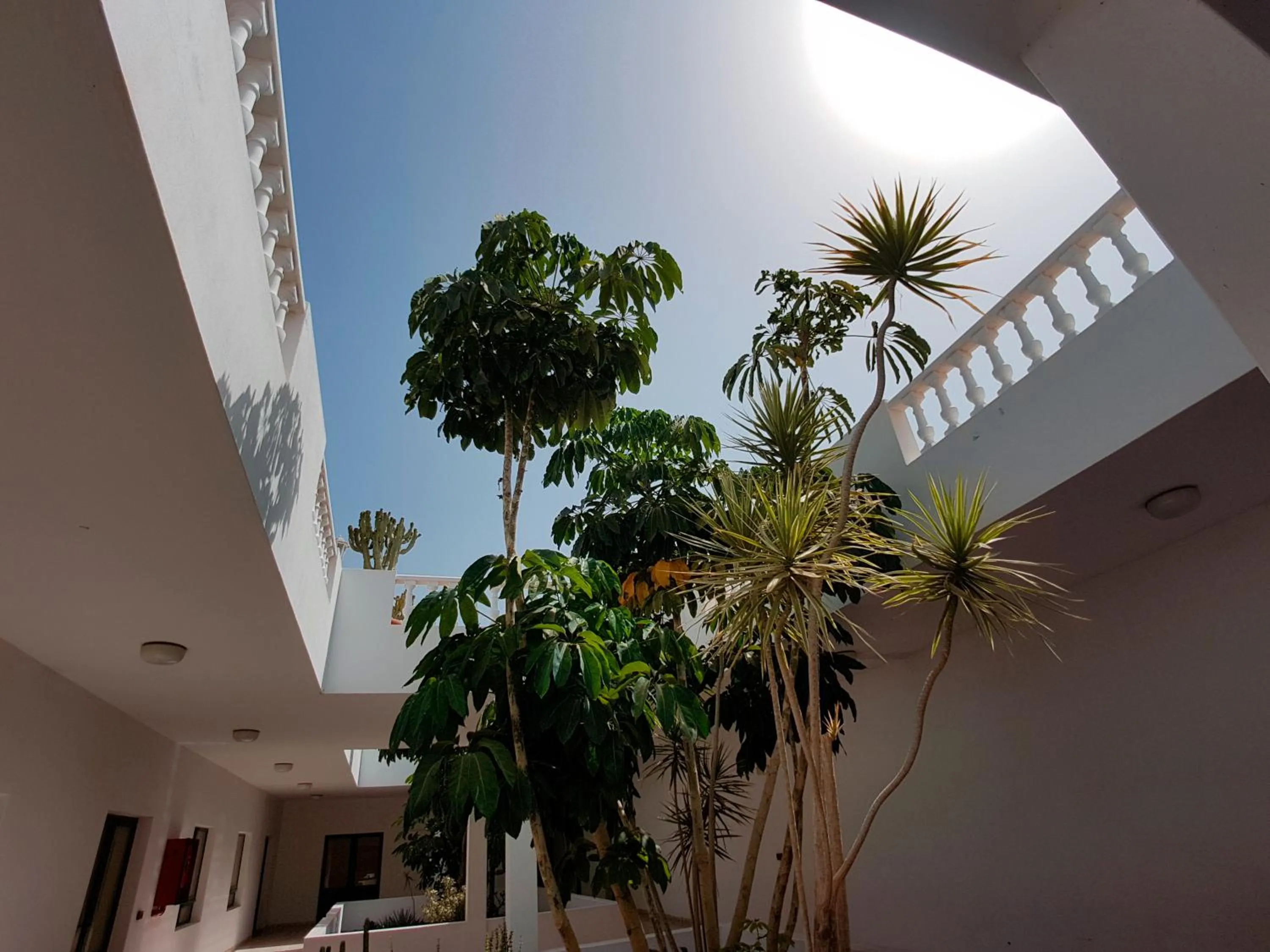 Garden in Apartamentos Tisalaya