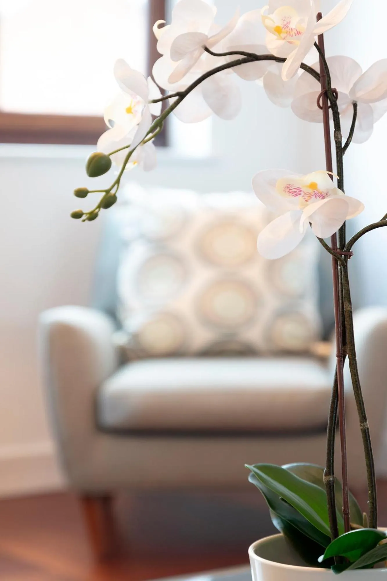 Hampden Apartments - The Henry