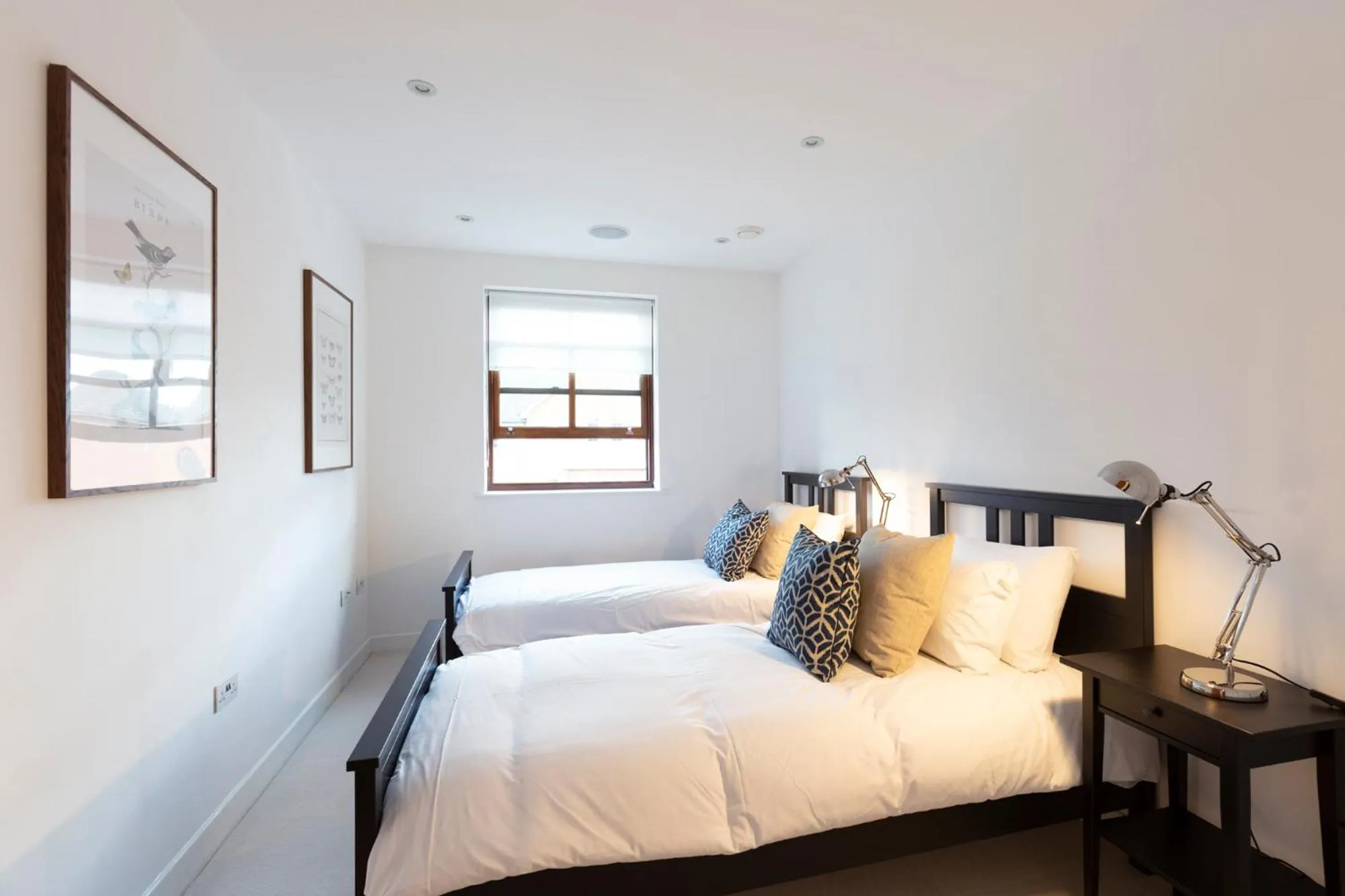 Bed in Hampden Apartments - The Henry