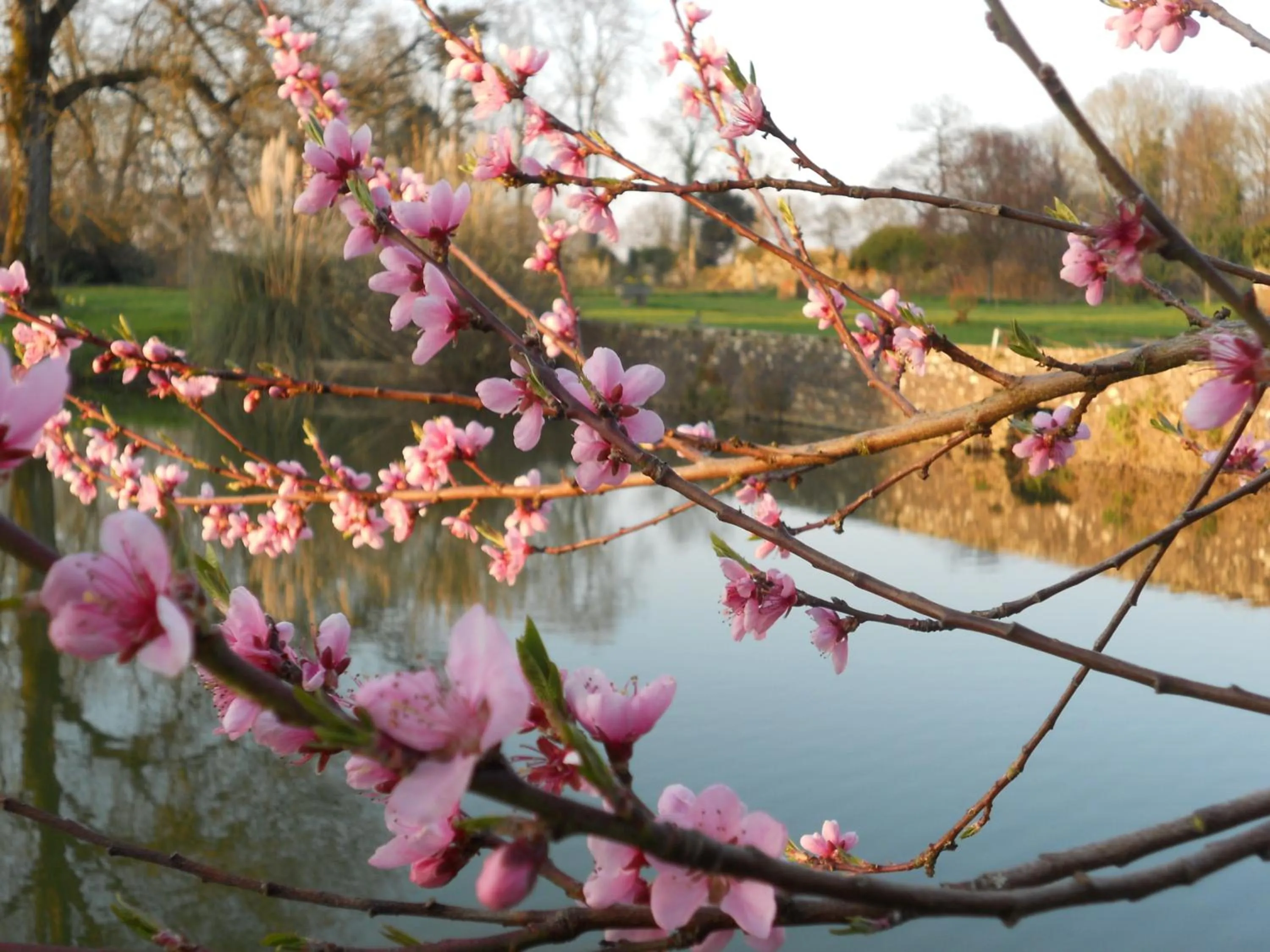Garden in Le Logis d'Equilly