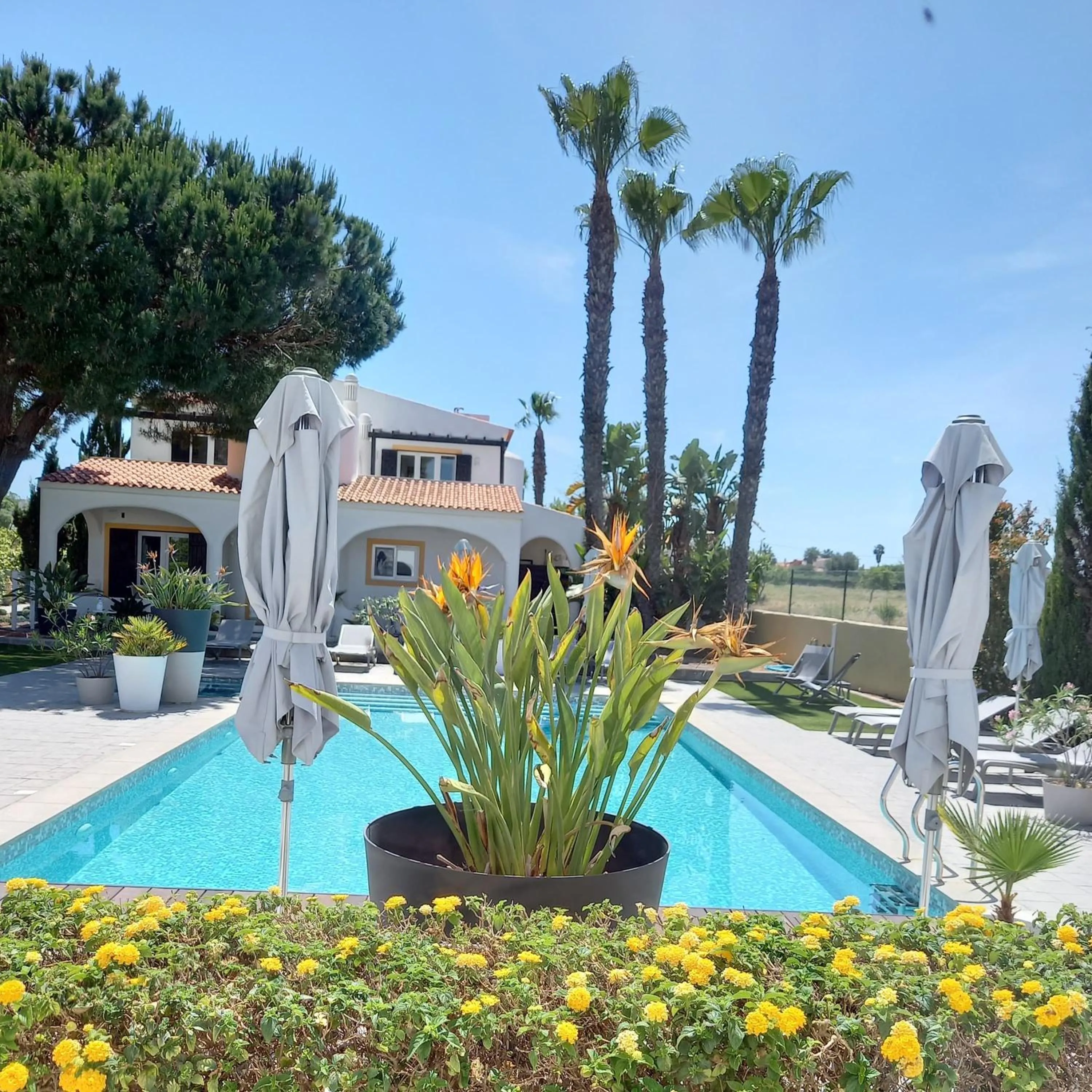Pool view in Casa Bela Moura, Boutique Hotel & Wine