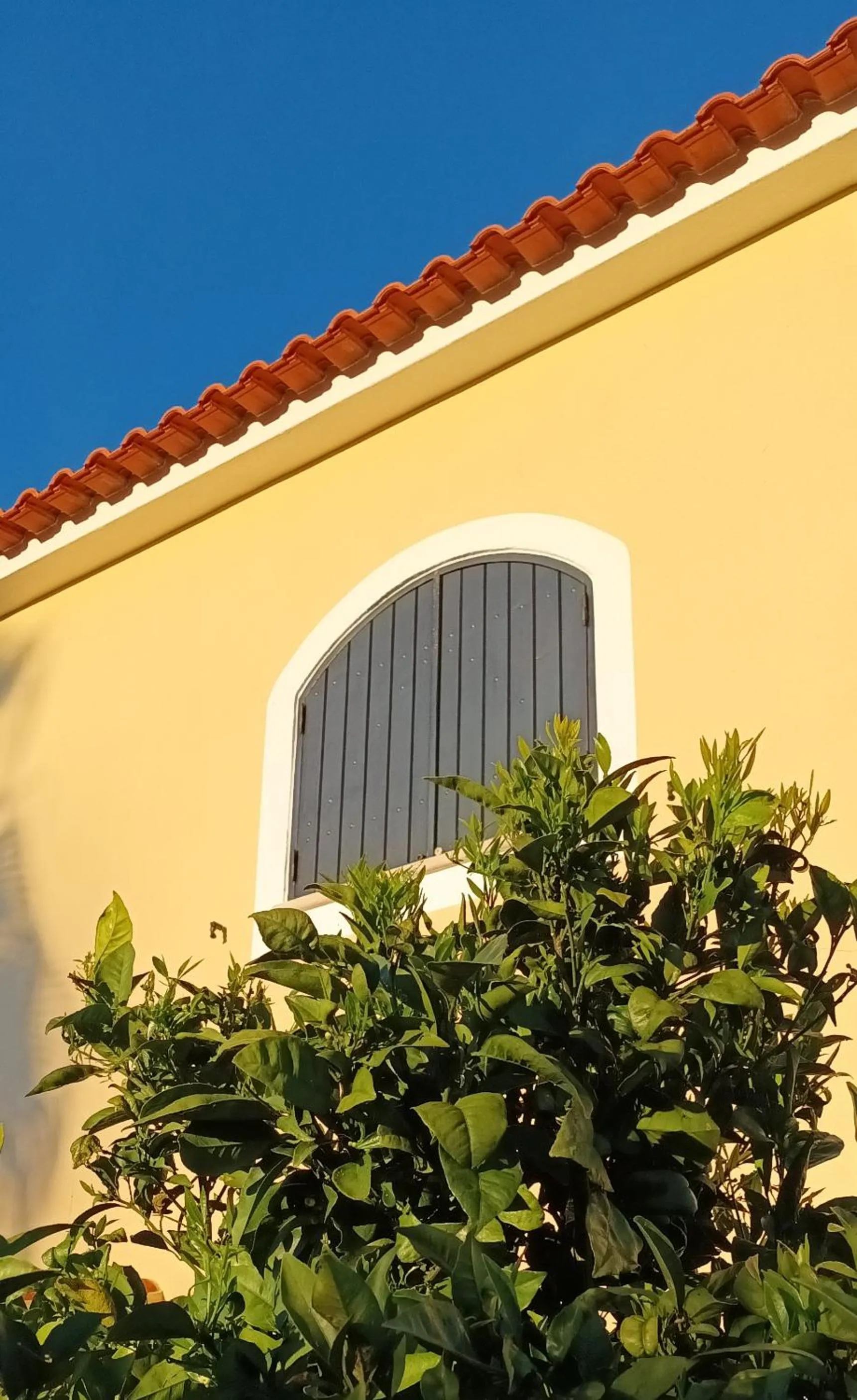 Property building in Casa Bela Moura, Boutique Hotel & Wine