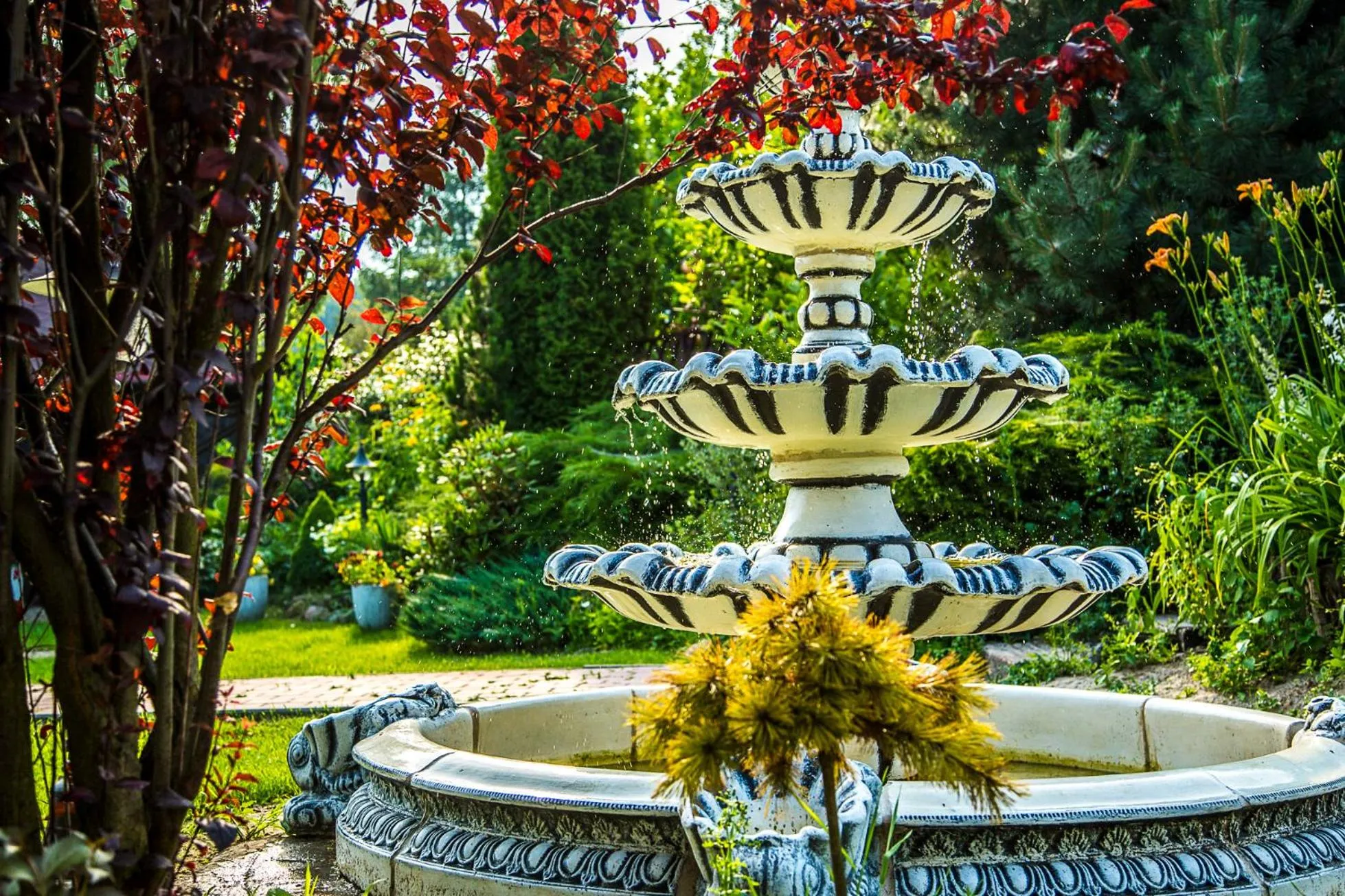 Garden in Zajazd Pod Gwiazdami