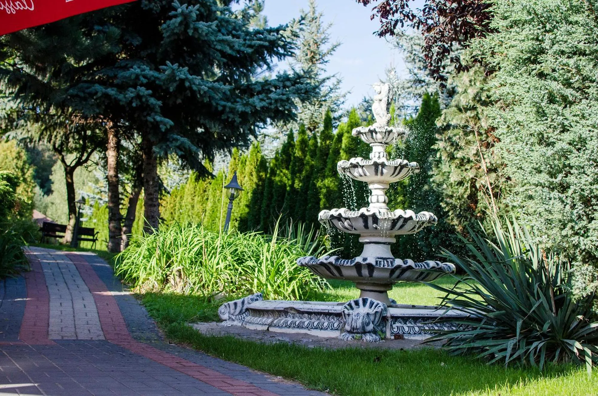 Garden in Zajazd Pod Gwiazdami