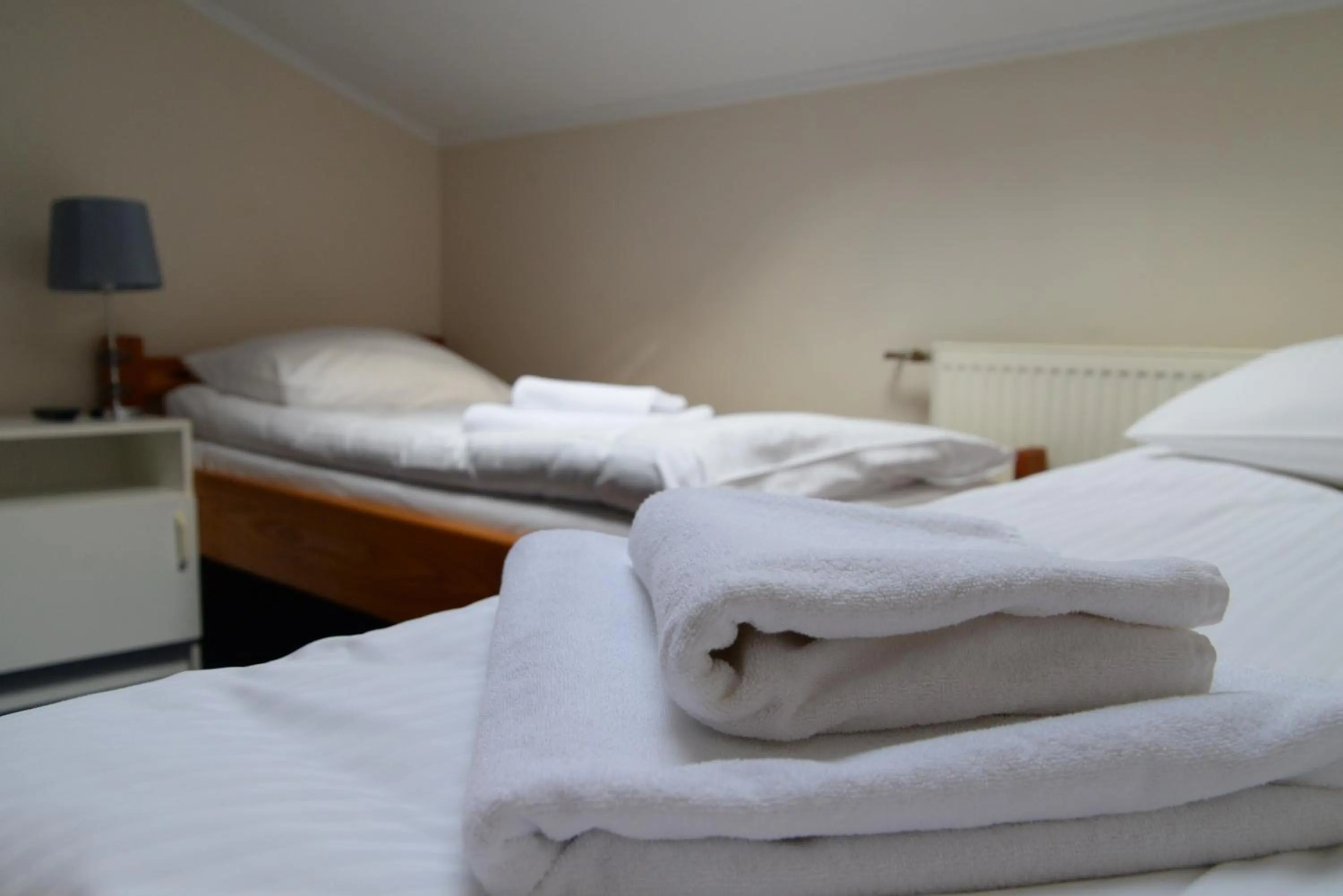 Bed in Zajazd Pod Gwiazdami