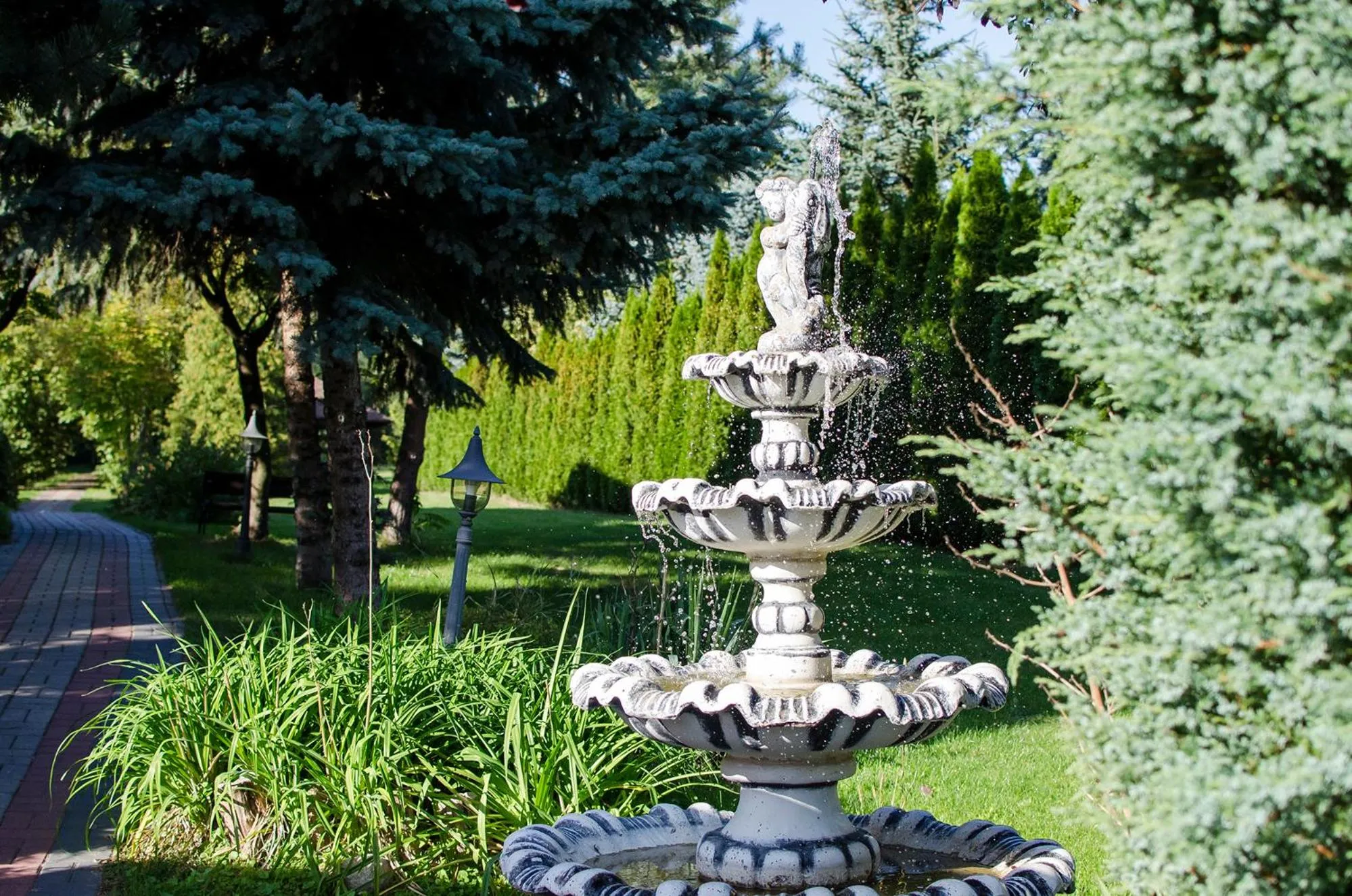 Garden in Zajazd Pod Gwiazdami