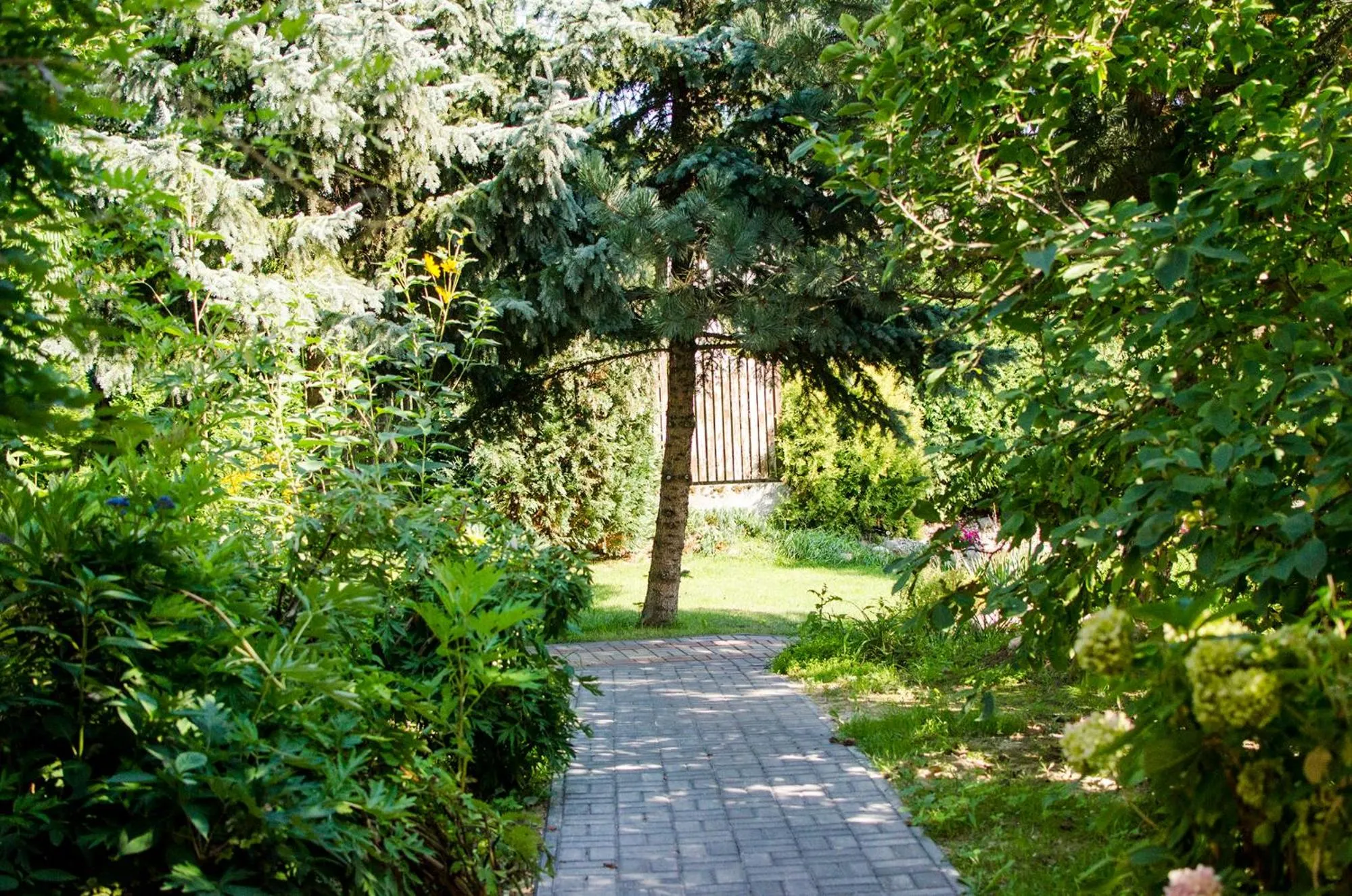 Garden in Zajazd Pod Gwiazdami