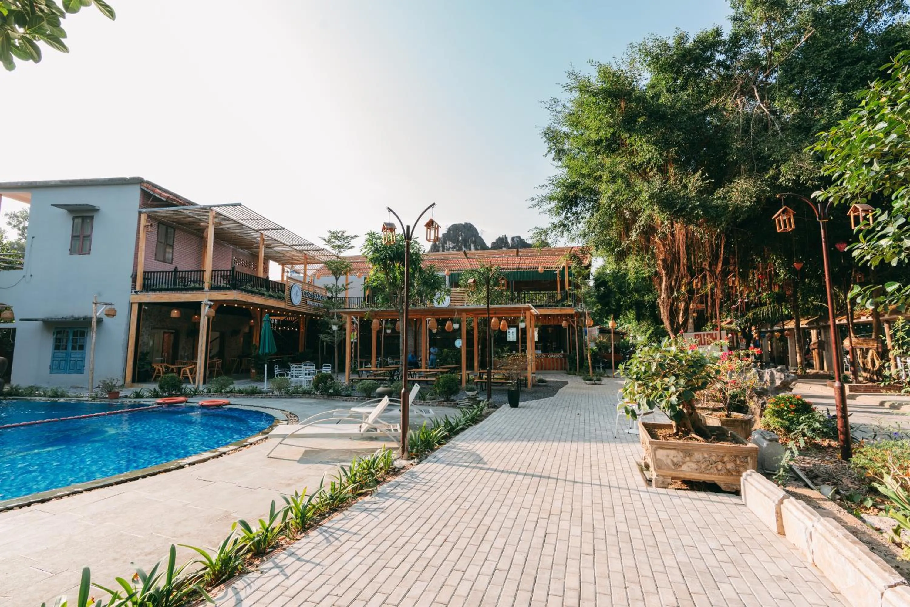 On site in Tam Coc Lavender Homestay -Authentic Ninh Binh Experiences