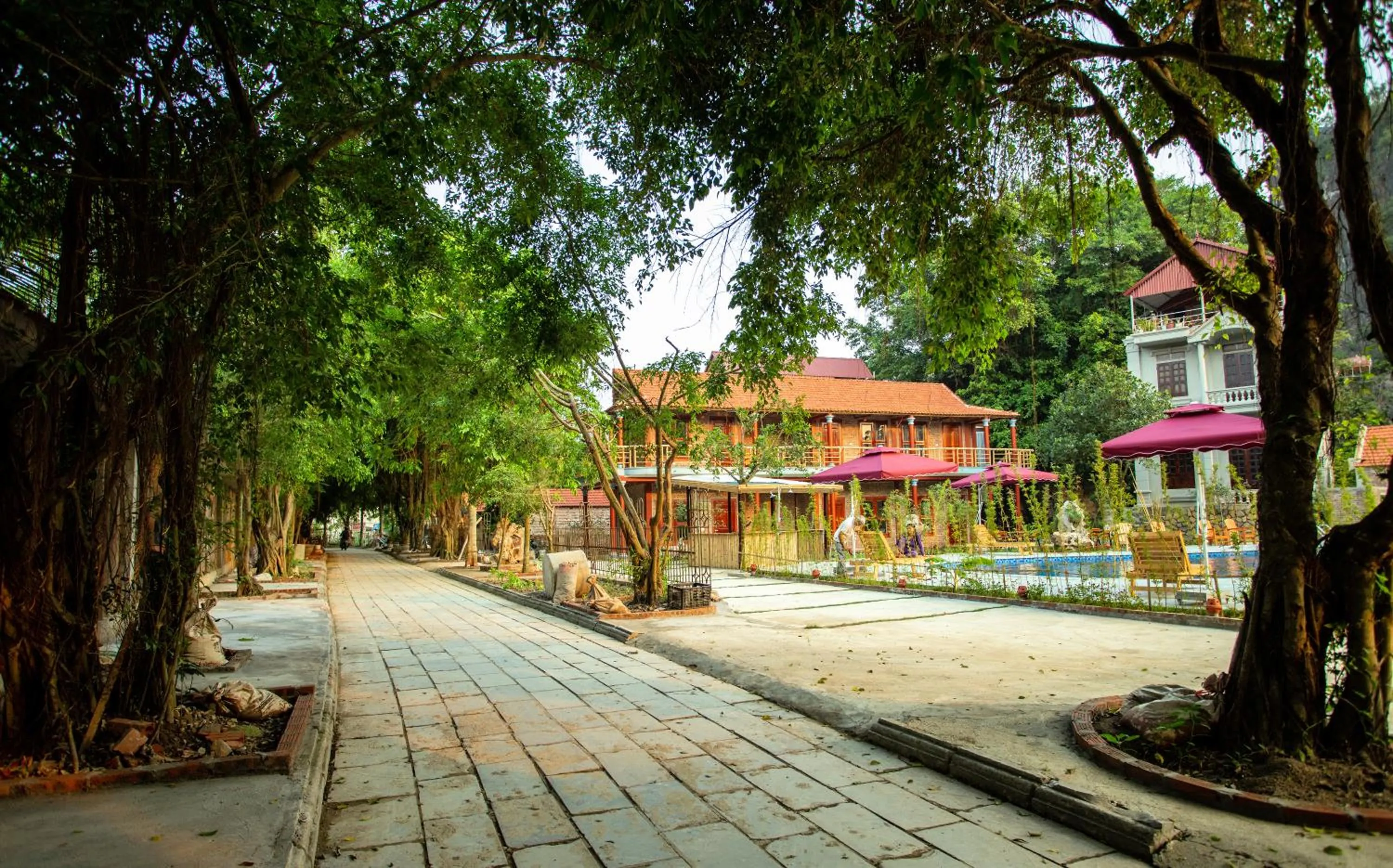 Neighbourhood in Tam Coc Lavender Homestay -Authentic Ninh Binh Experiences