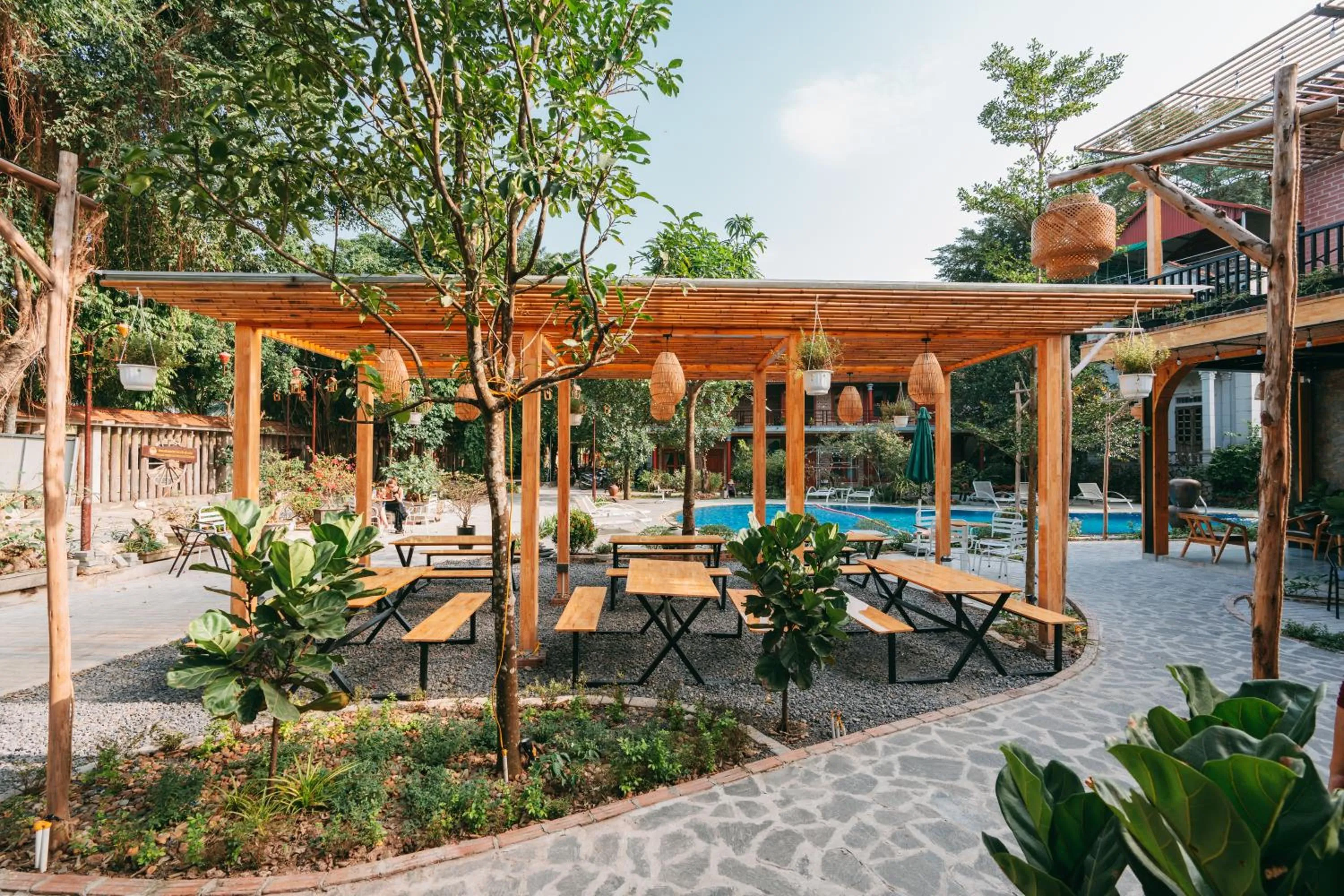 Garden in Tam Coc Lavender Homestay -Authentic Ninh Binh Experiences