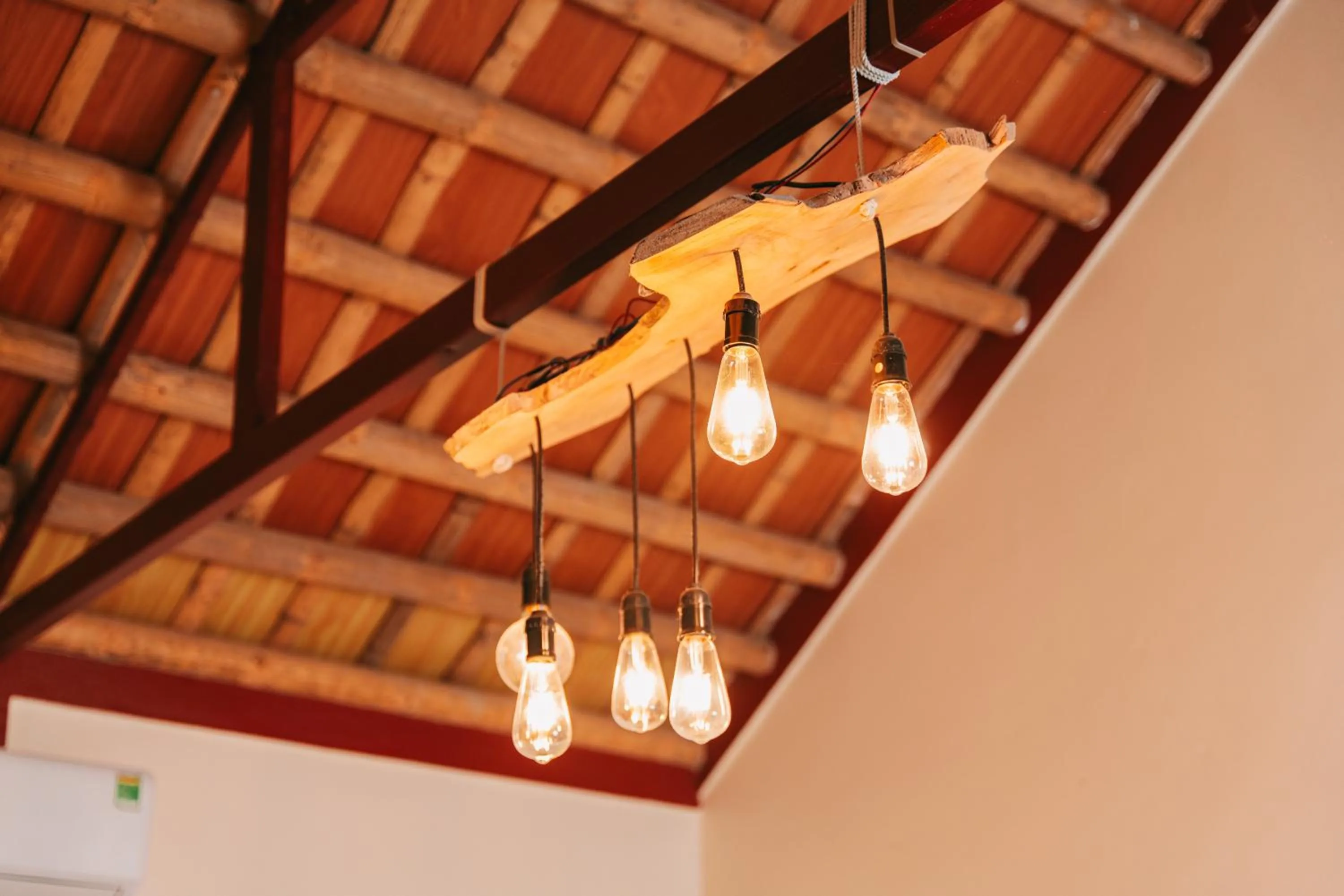 Tam Coc Lavender Homestay -Authentic Ninh Binh Experiences