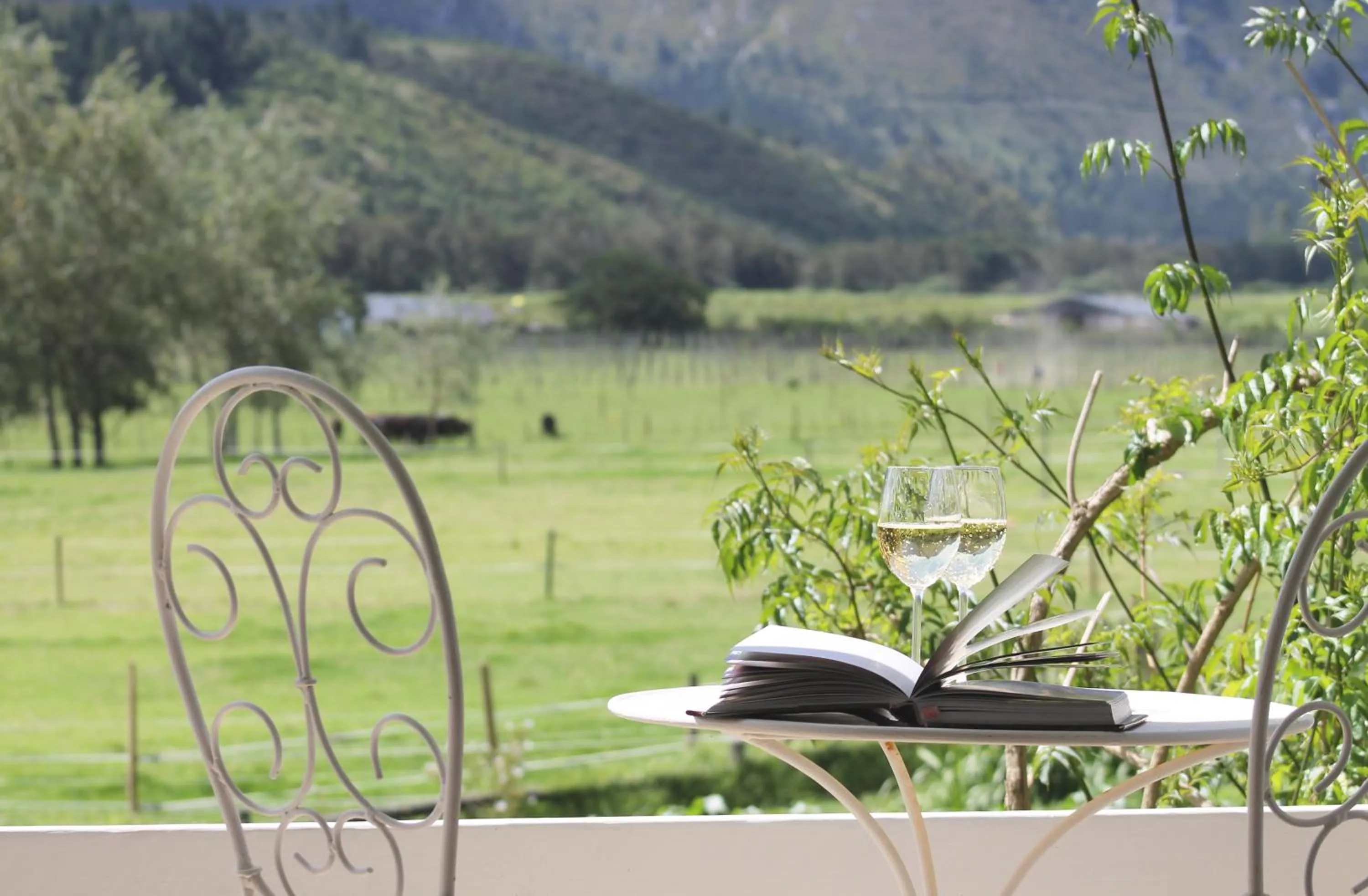 Natural landscape in Arumvale Country Retreat