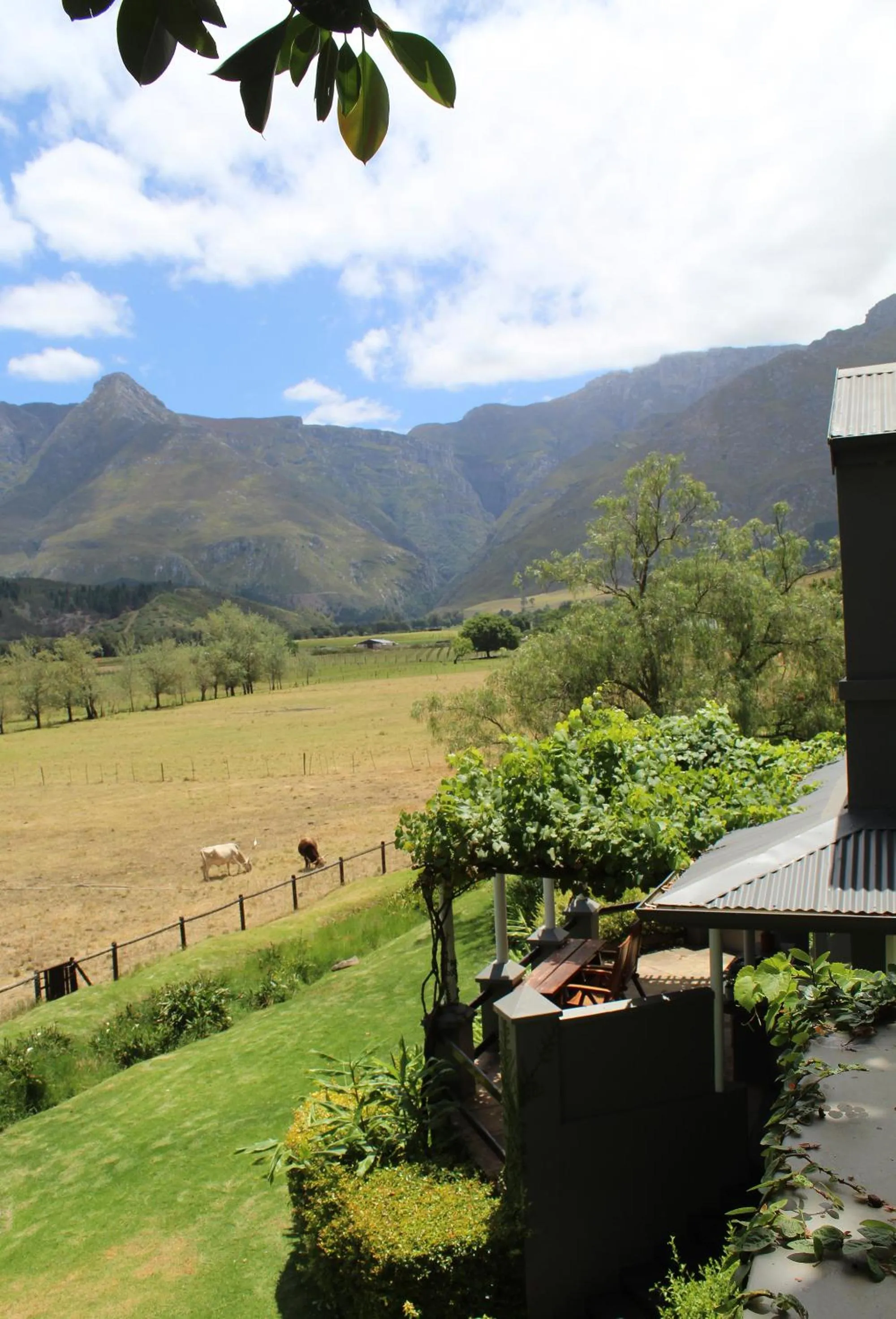 Garden view in Arumvale Country Retreat