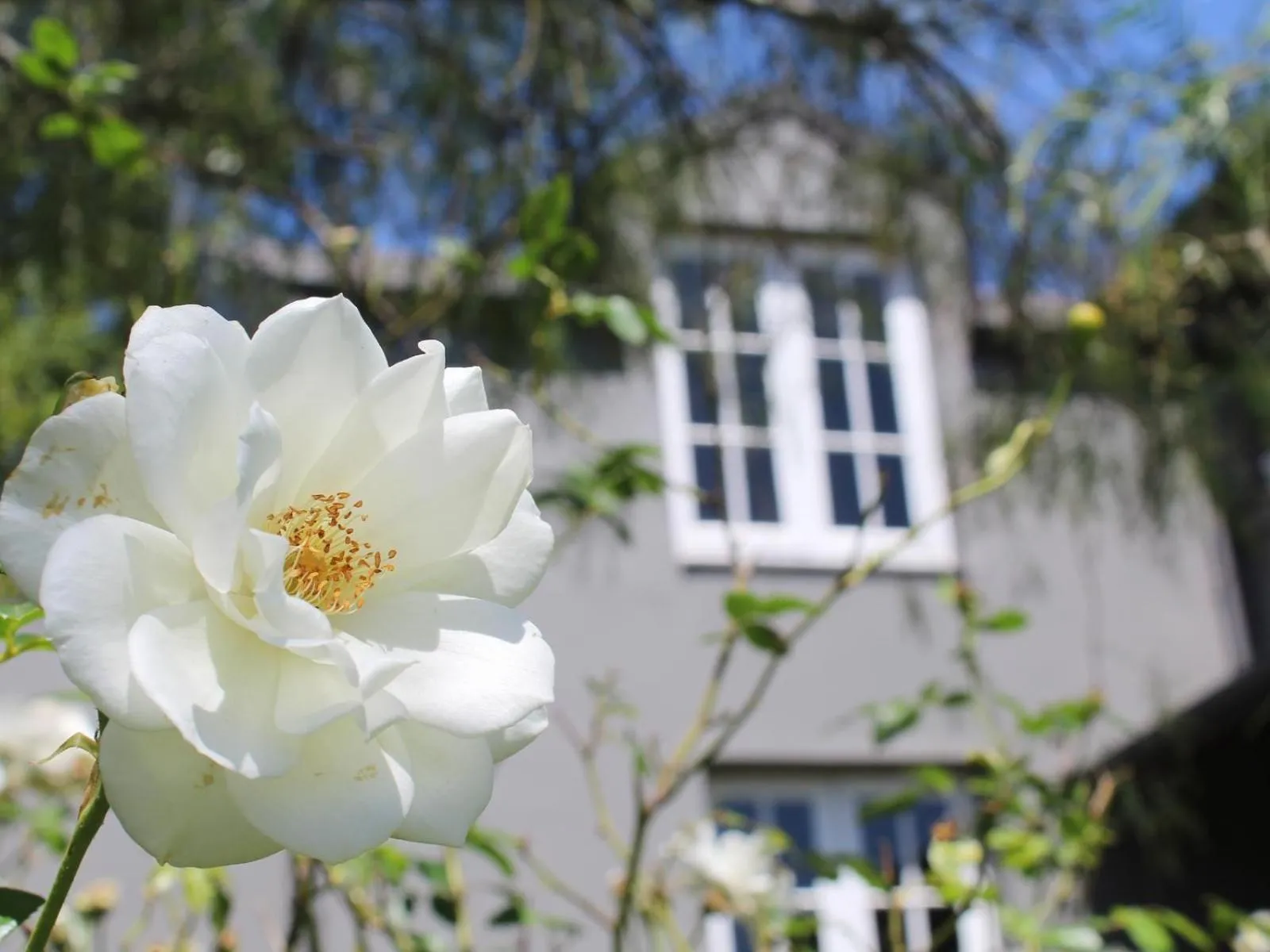 Mountain view in Arumvale Country Retreat