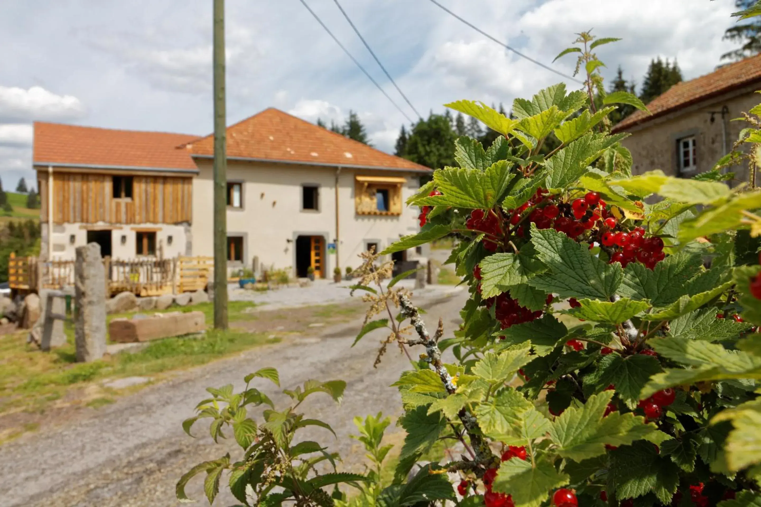 La Ferme de Jean La Ferme de Jean