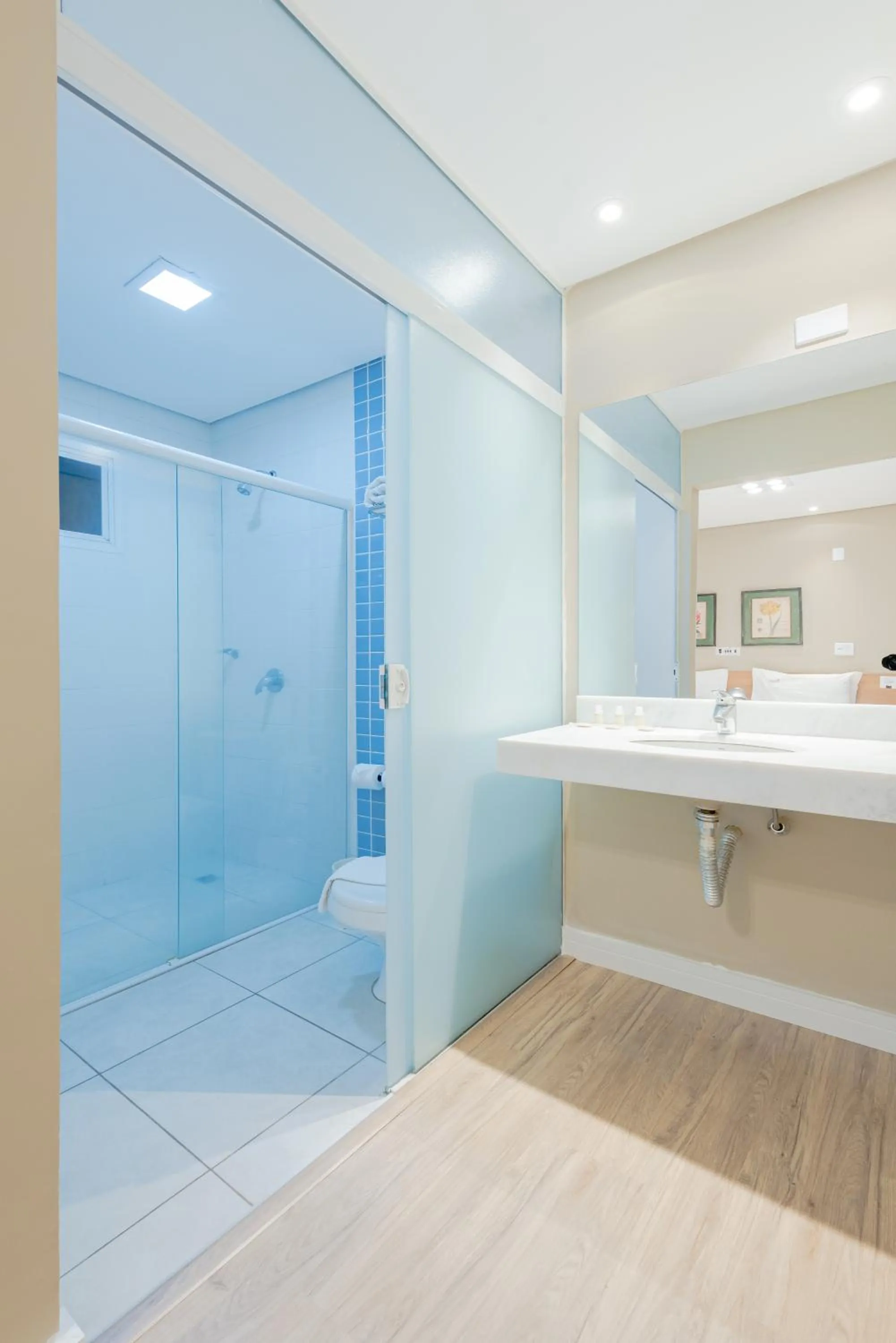 Bathroom in Araçatuba Plaza Hotel