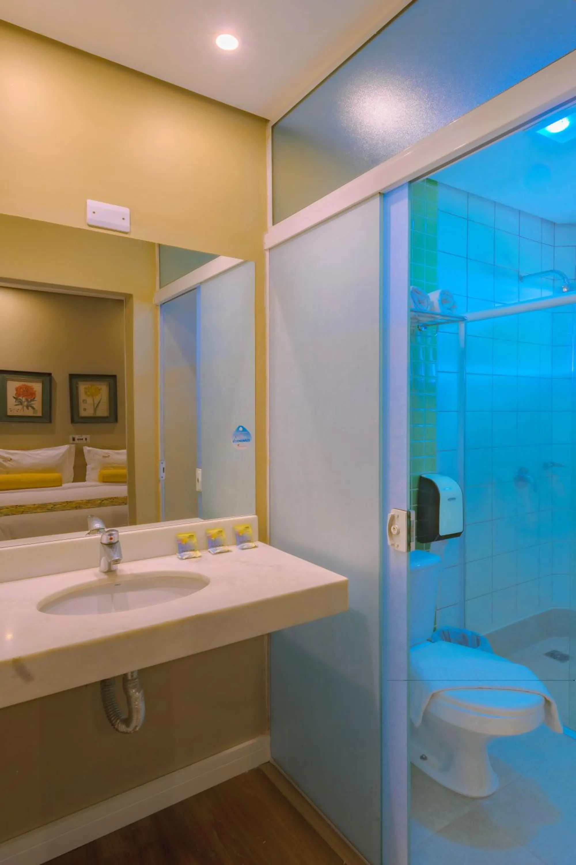 Bathroom in Araçatuba Plaza Hotel