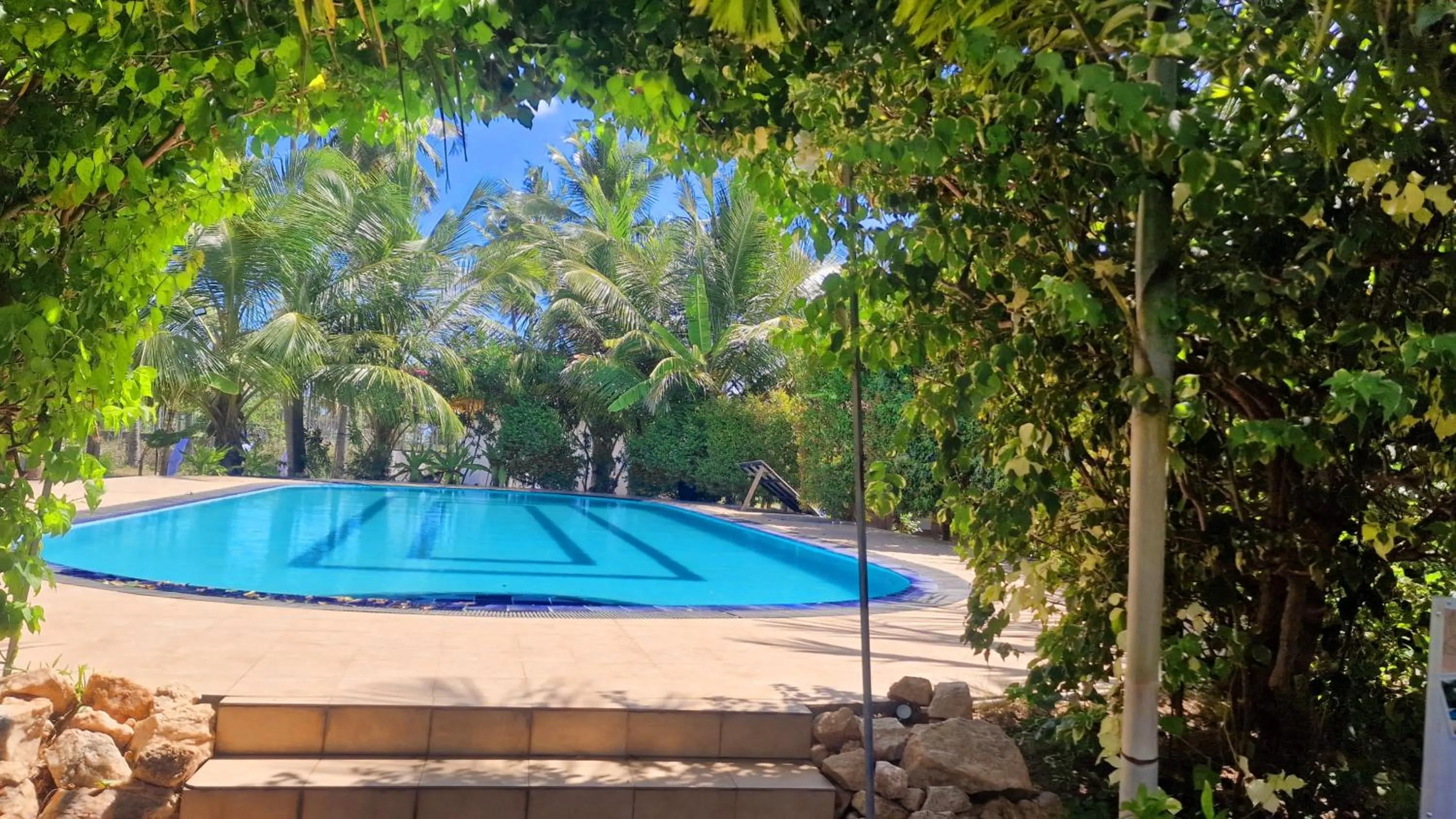 Spring in ITALIAN GUEST