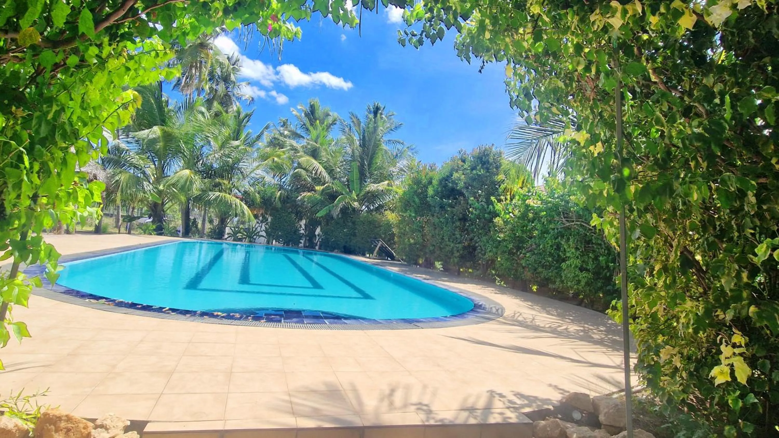 Spring in ITALIAN GUEST