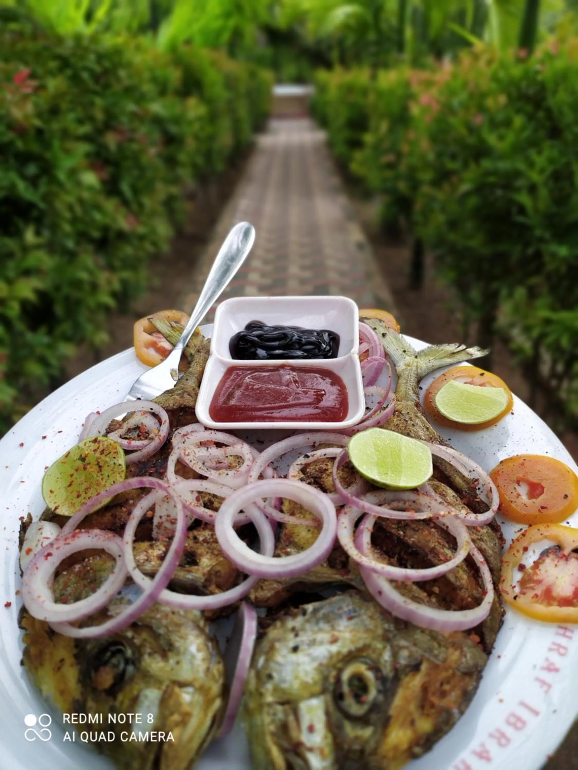 Day in ITALIAN GUEST