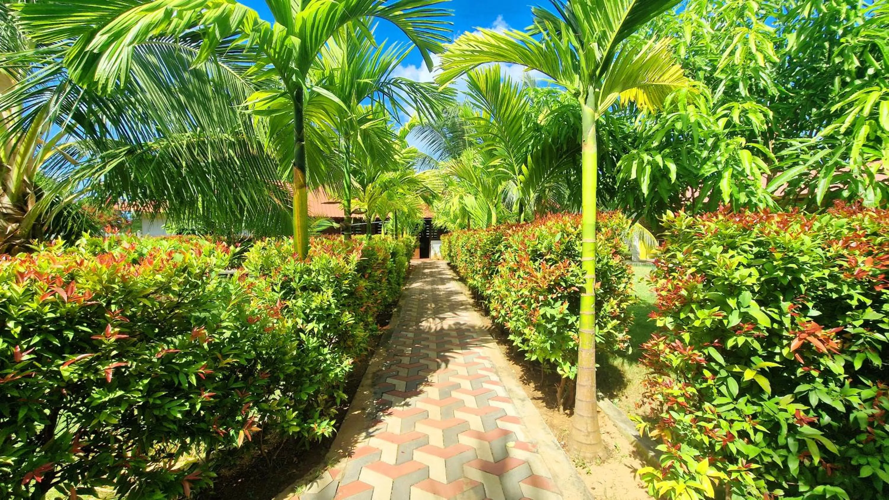 Spring in ITALIAN GUEST