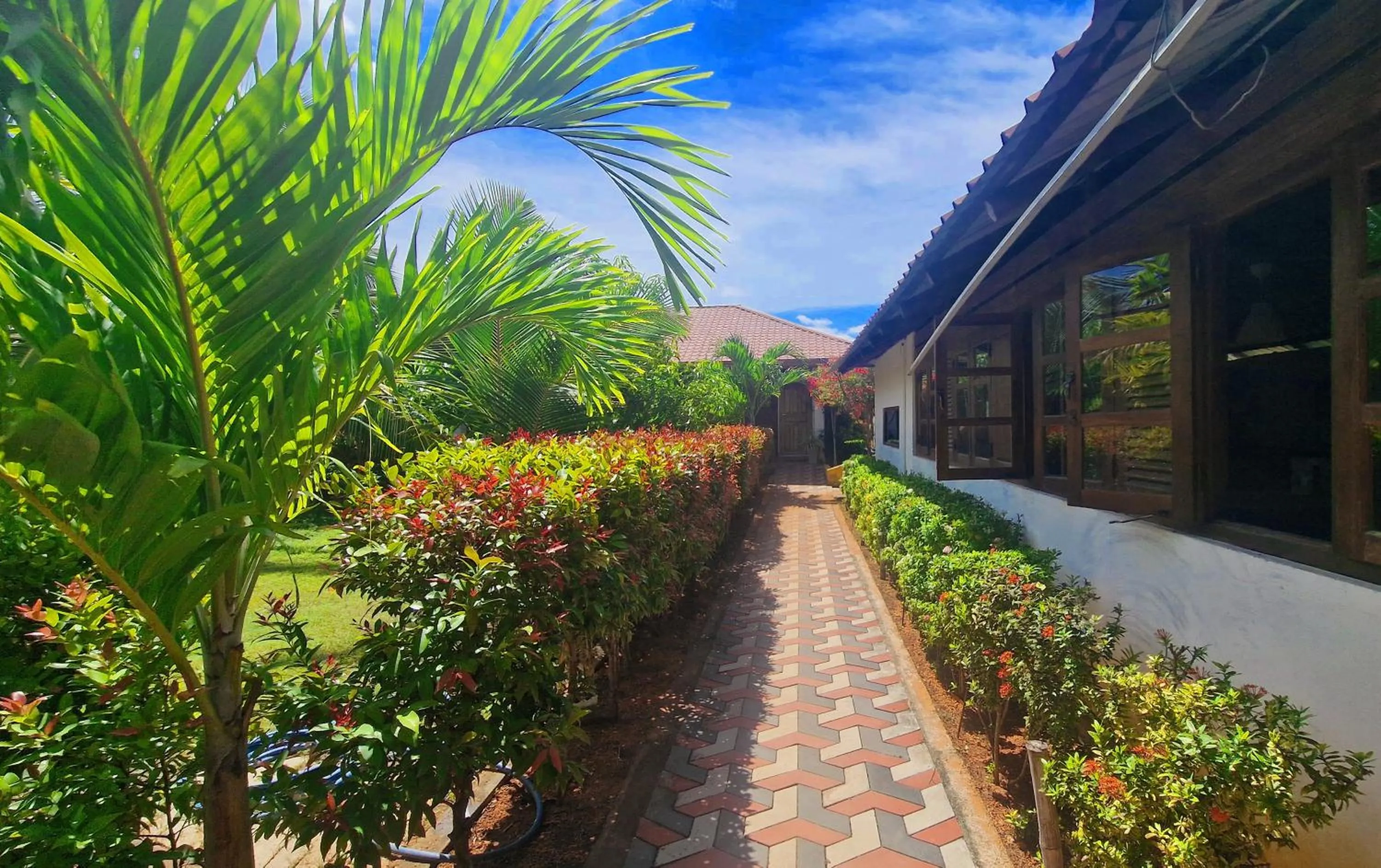 Spring in ITALIAN GUEST