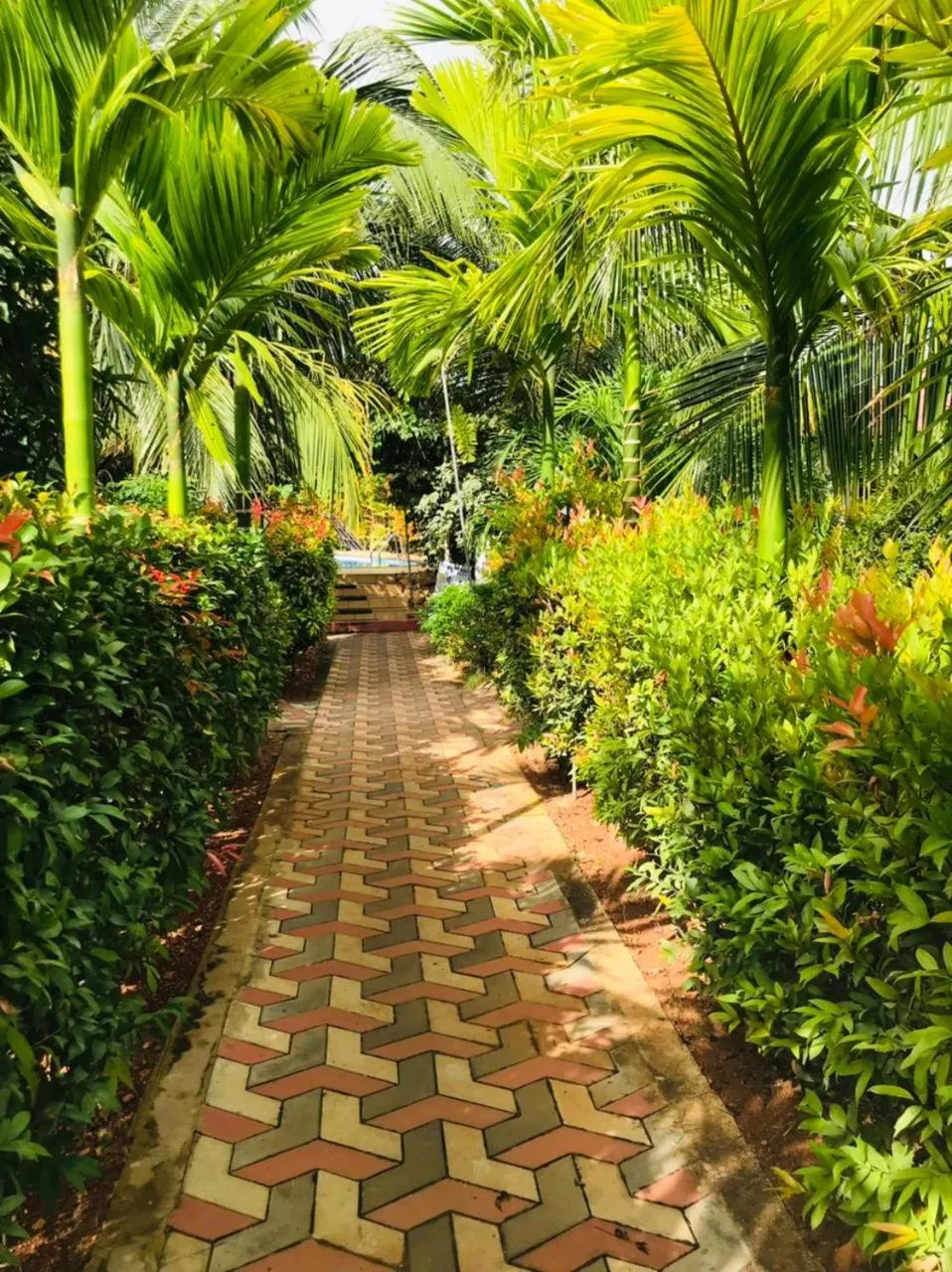 Day in ITALIAN GUEST