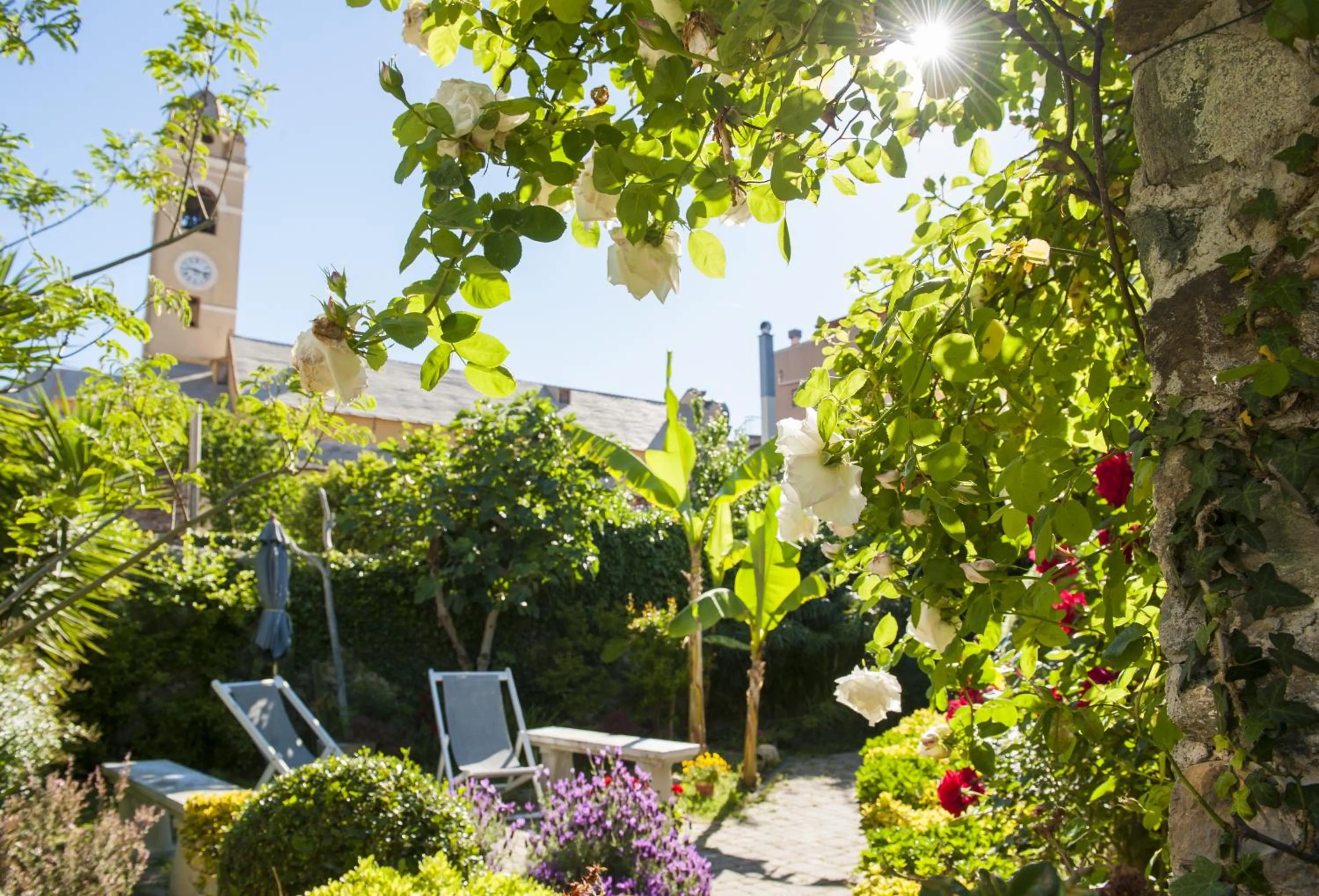Garden in Hotel Melograno