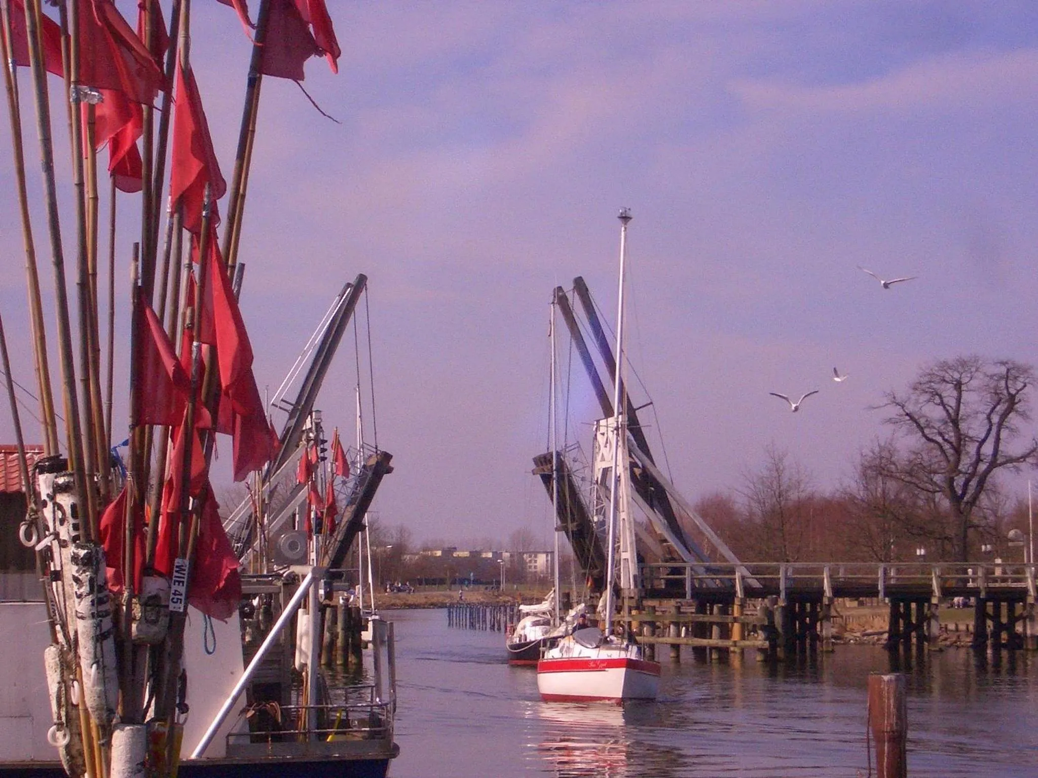 Area and facilities in Hotel zur Brücke
