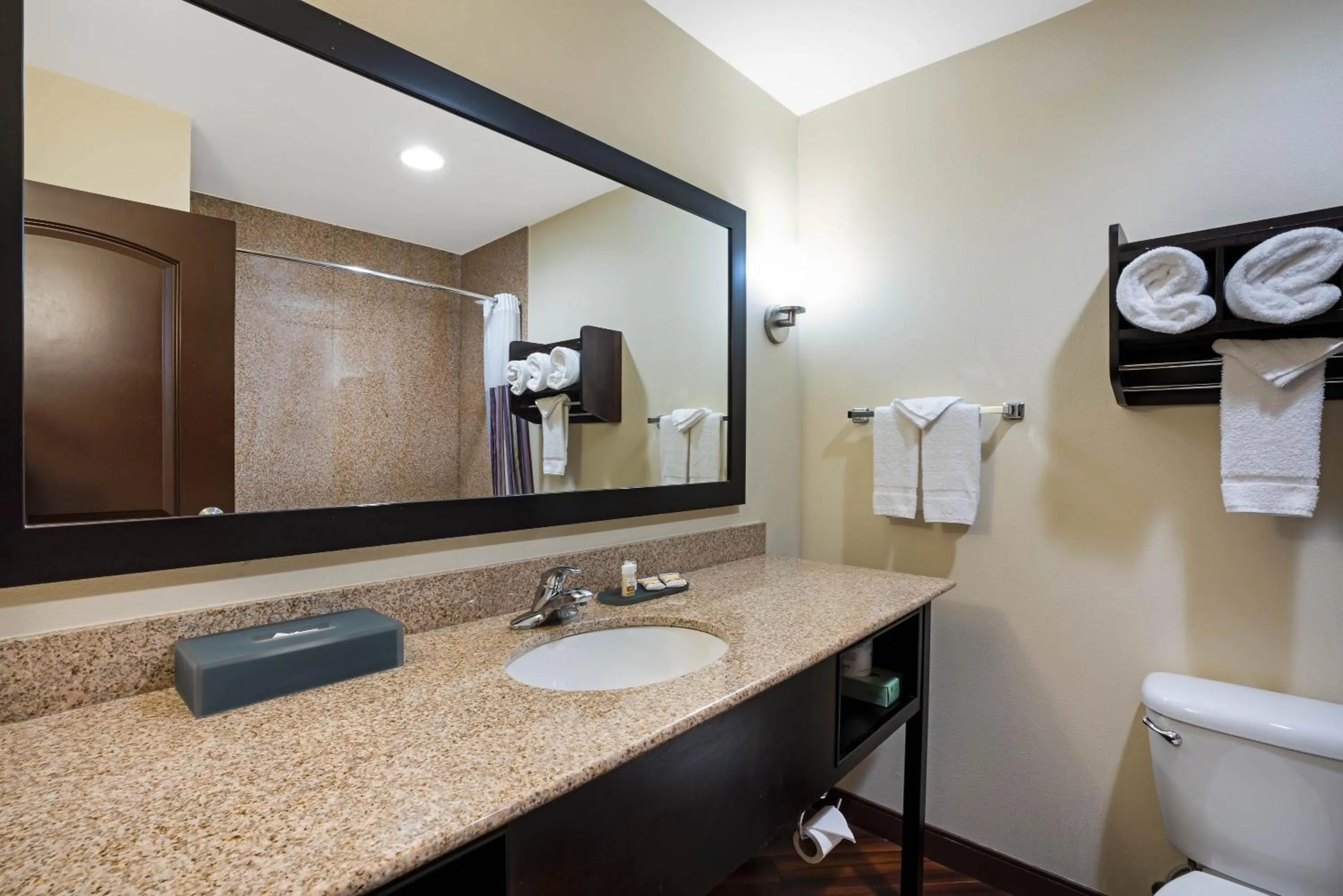 Bathroom in La Quinta by Wyndham Auburn