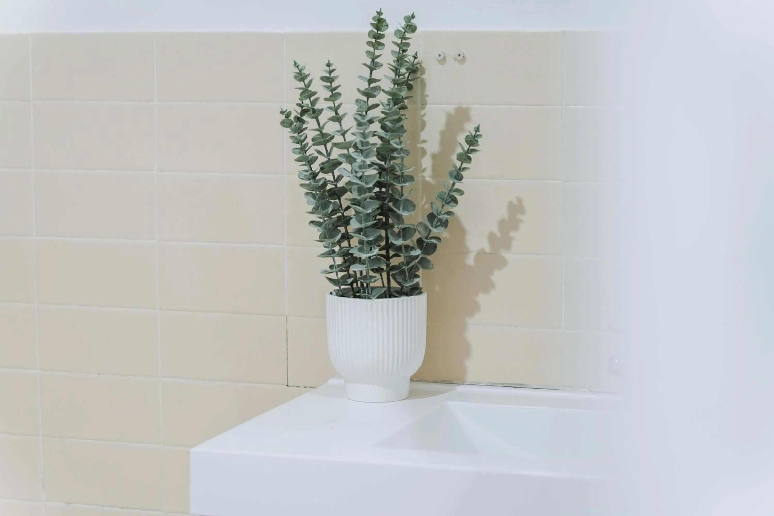 Country 2 Coast Motor Inn Coffs Harbour