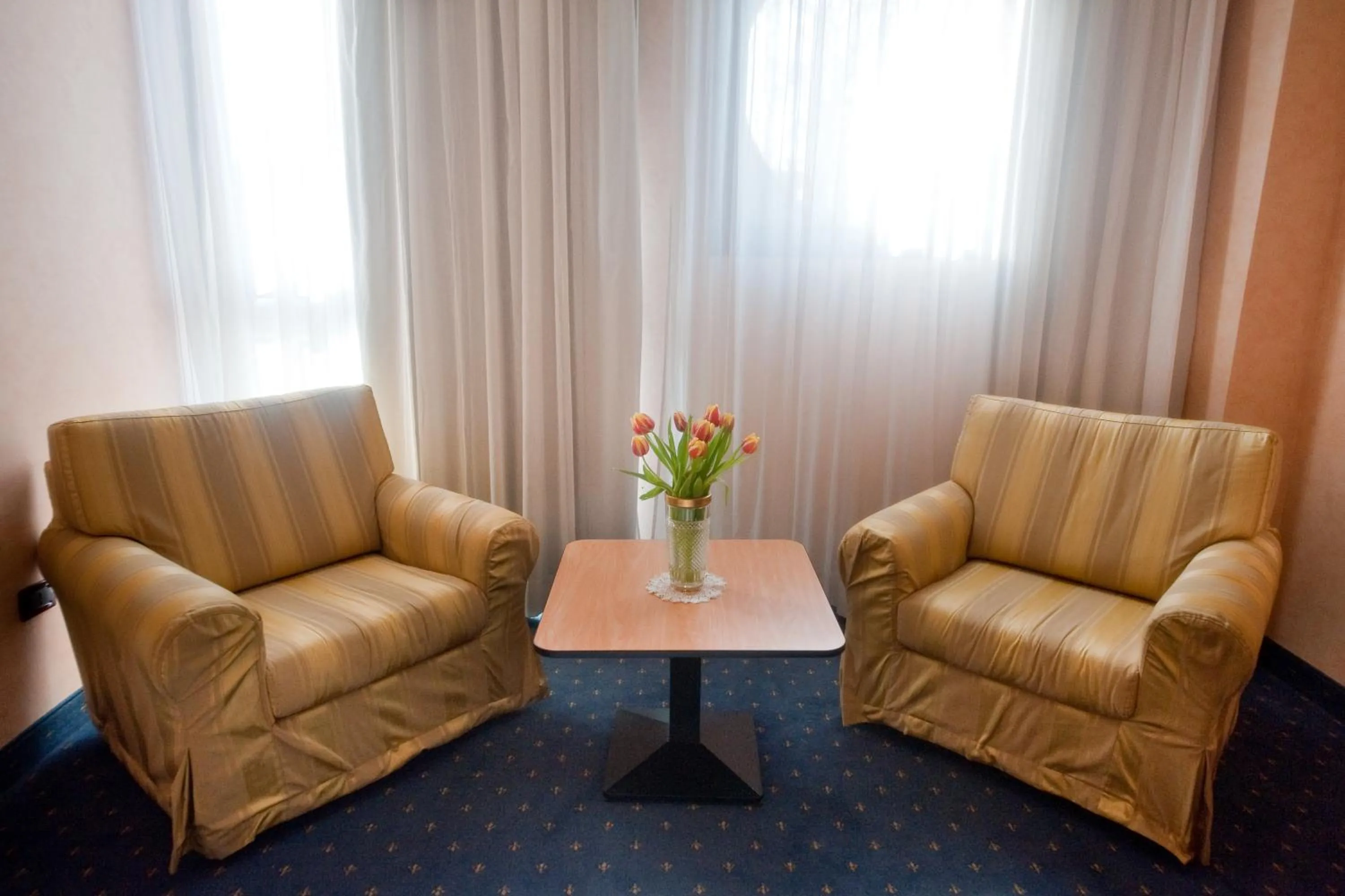 Living room in Hotel Le Sorgenti