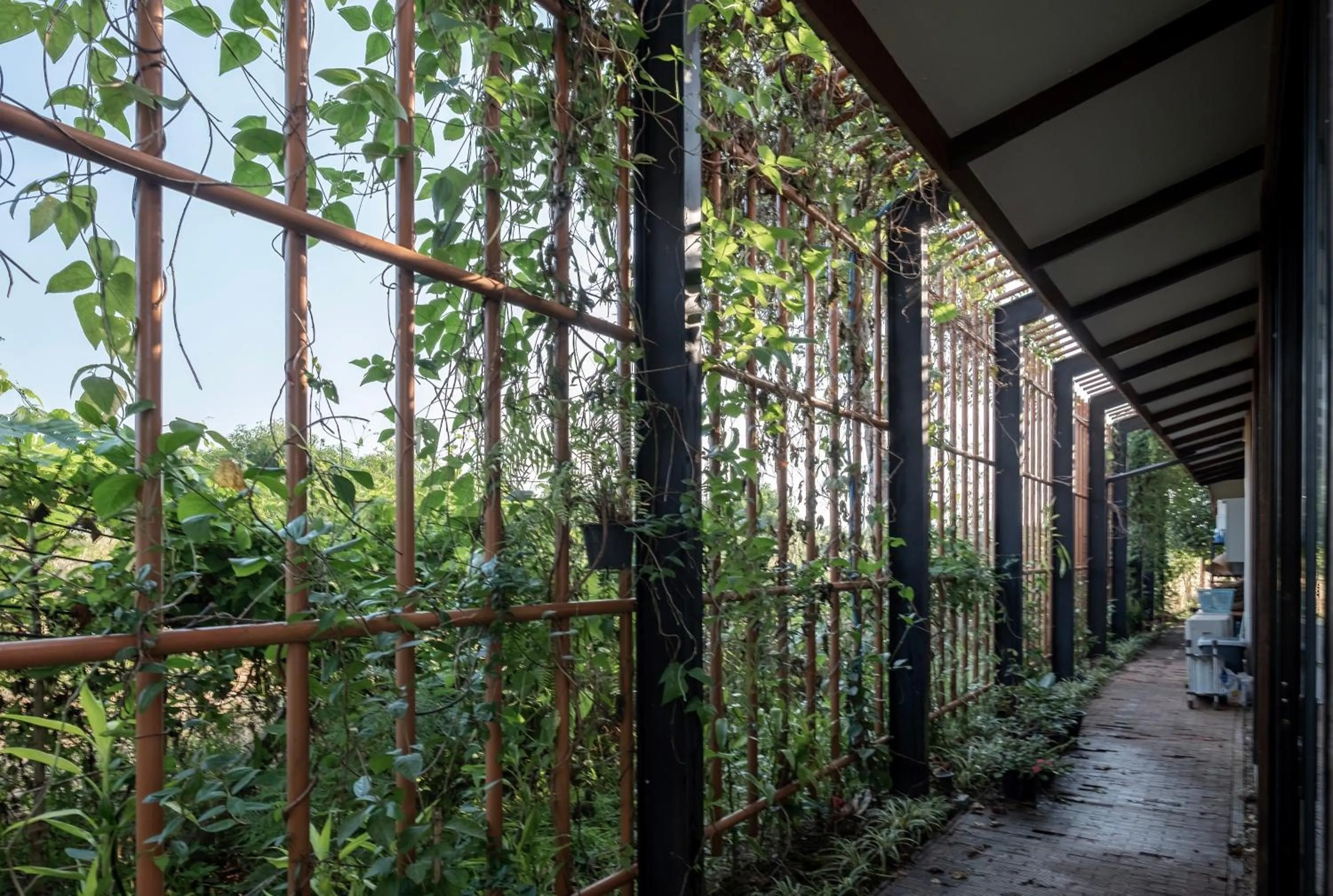 Restaurant/places to eat in Hug Jang Loei Garden & Resort