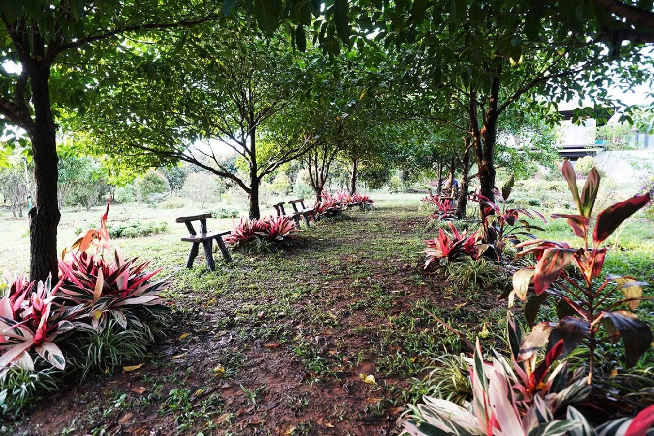 Garden in Hug Jang Loei Garden & Resort