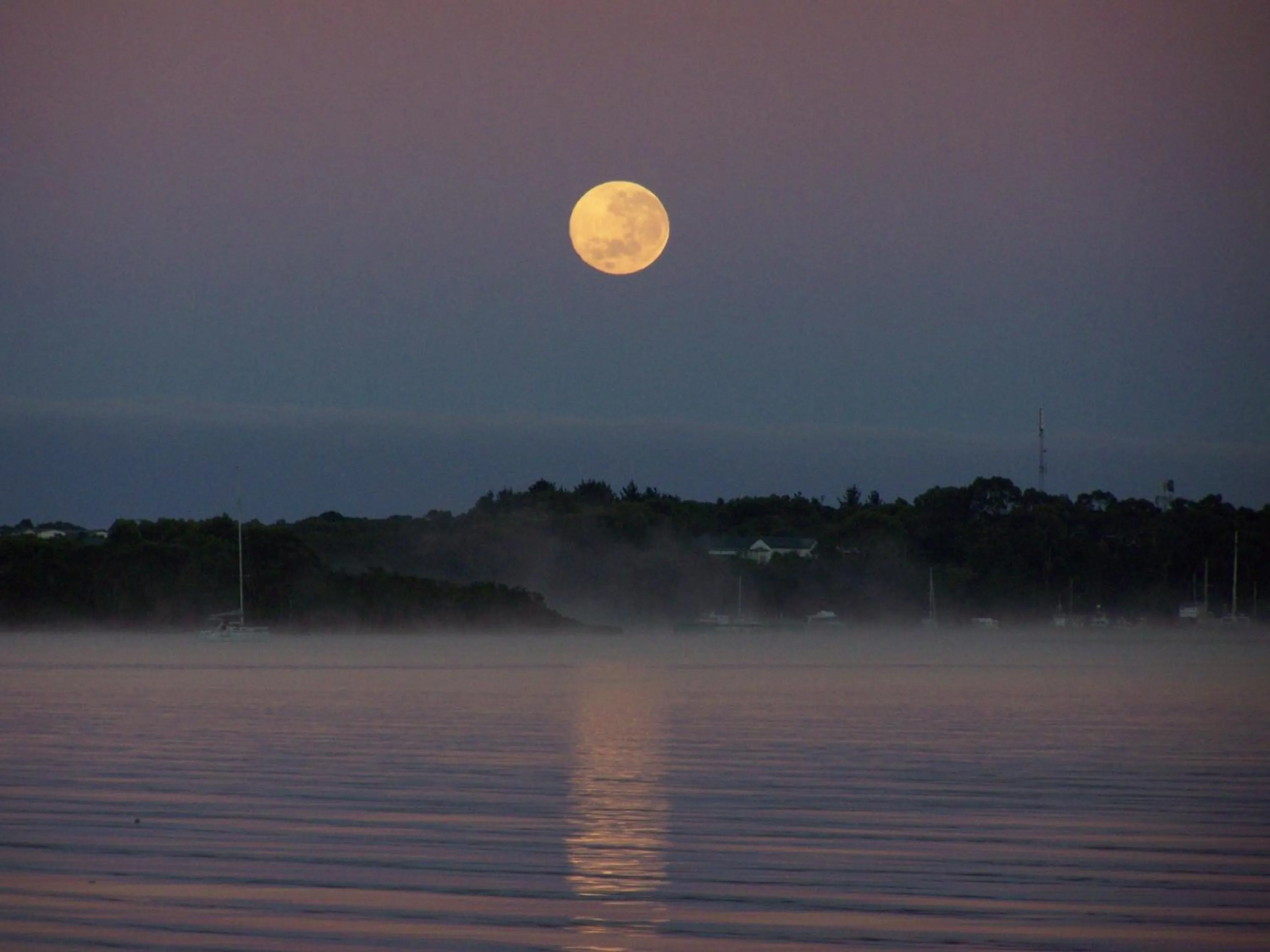 Seasons in Regatta Point Tavern & Holiday Villas