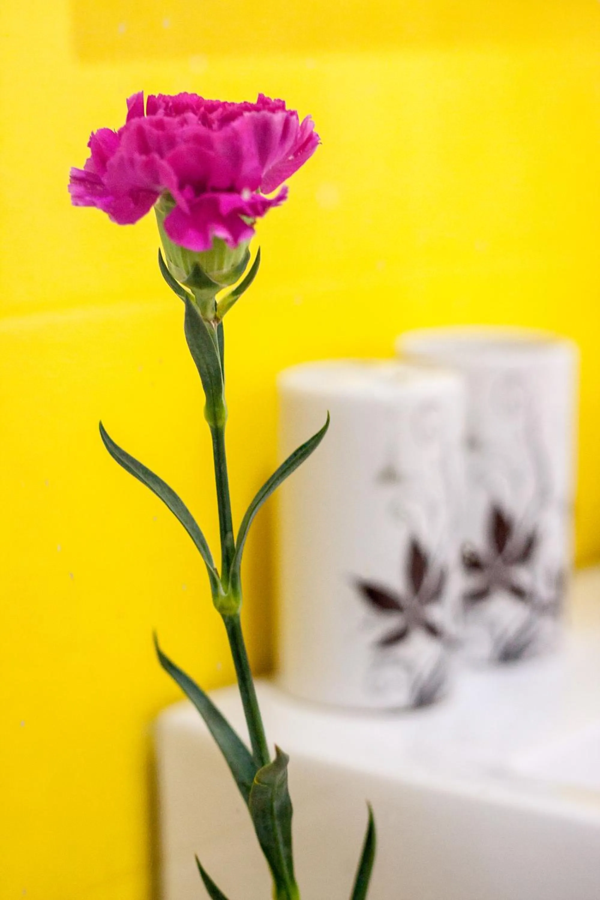 Laemsing Whitehouse Resort