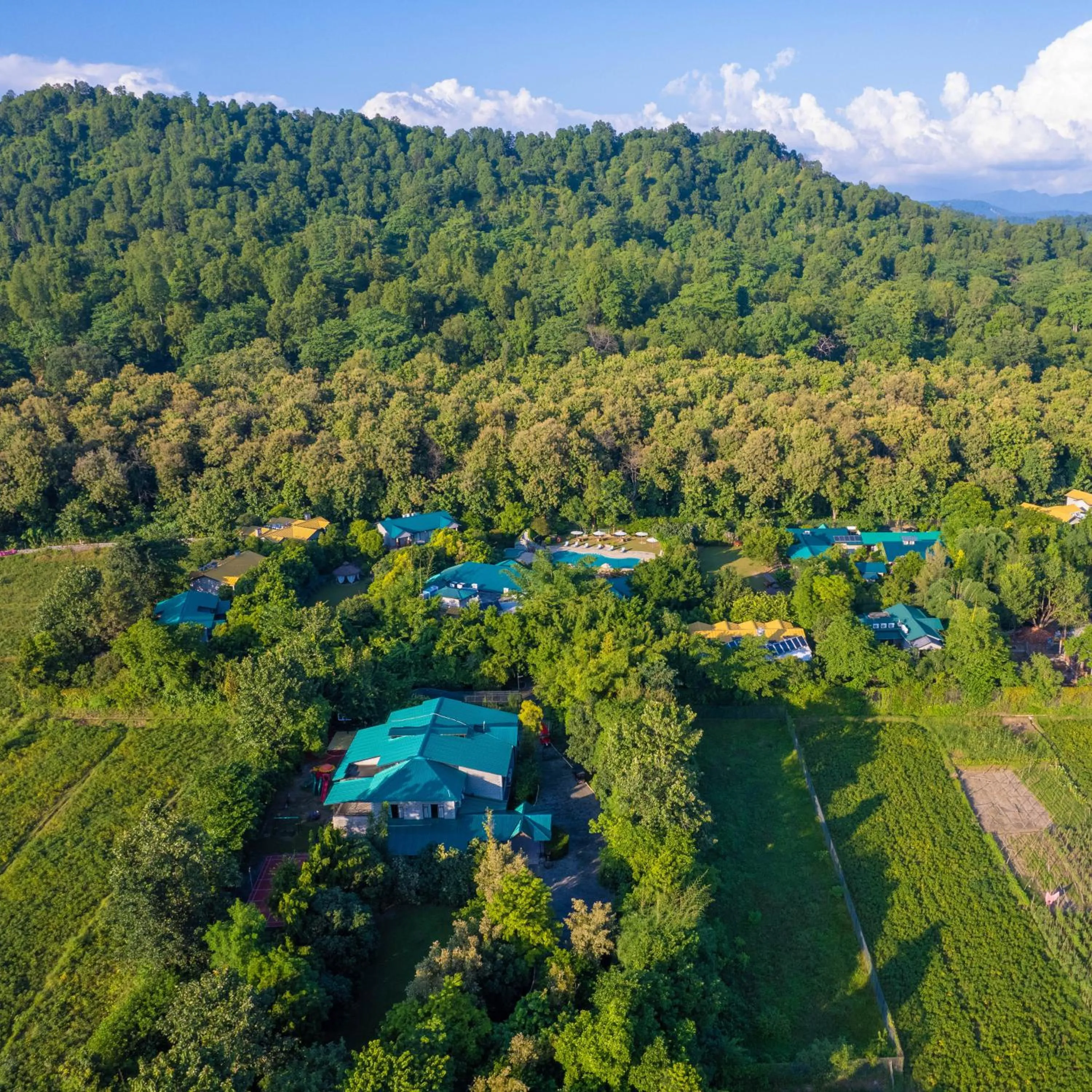 Natural landscape in Aahana Resort - Jim Corbett