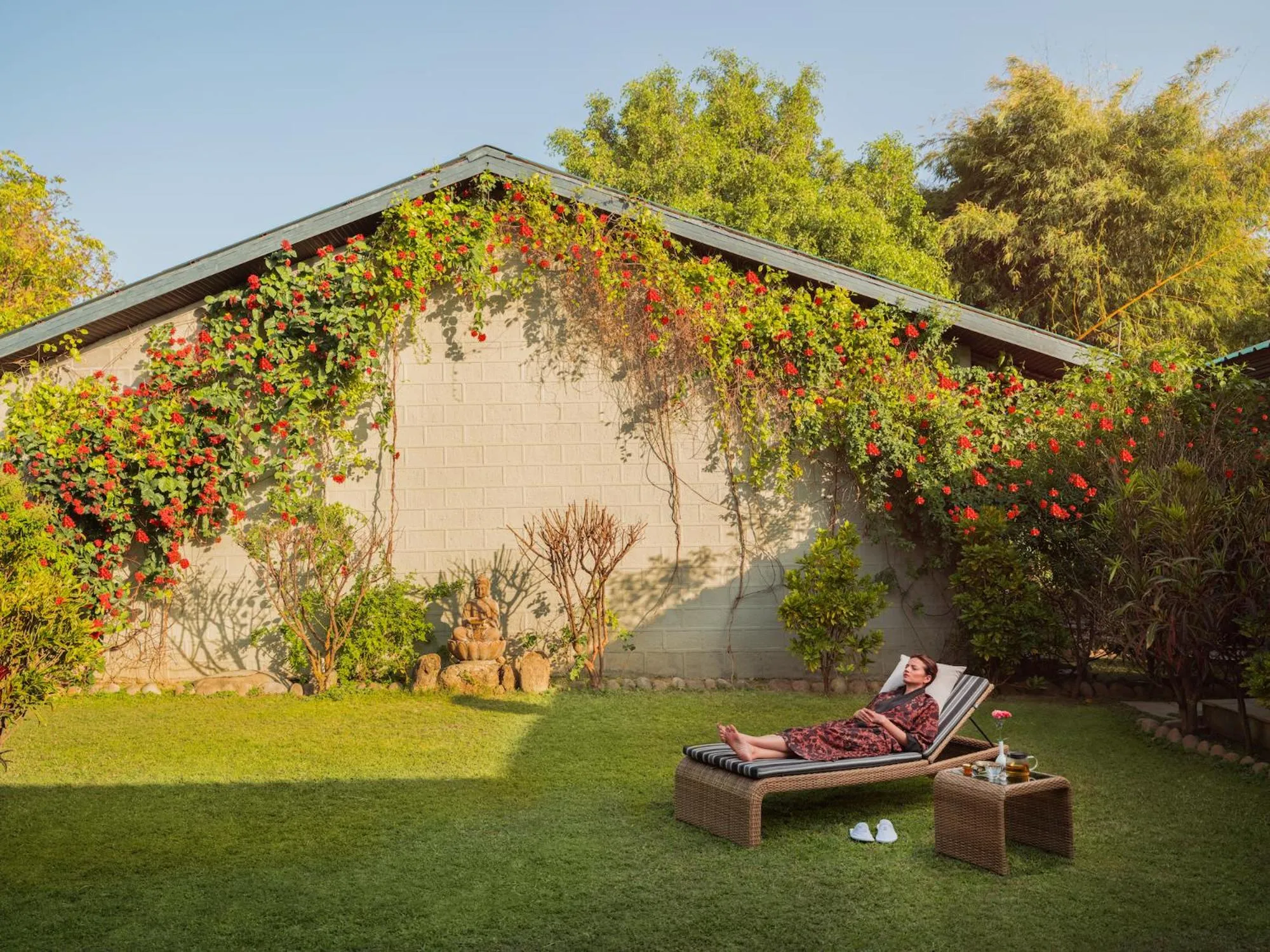 Natural landscape in Aahana Resort - Jim Corbett