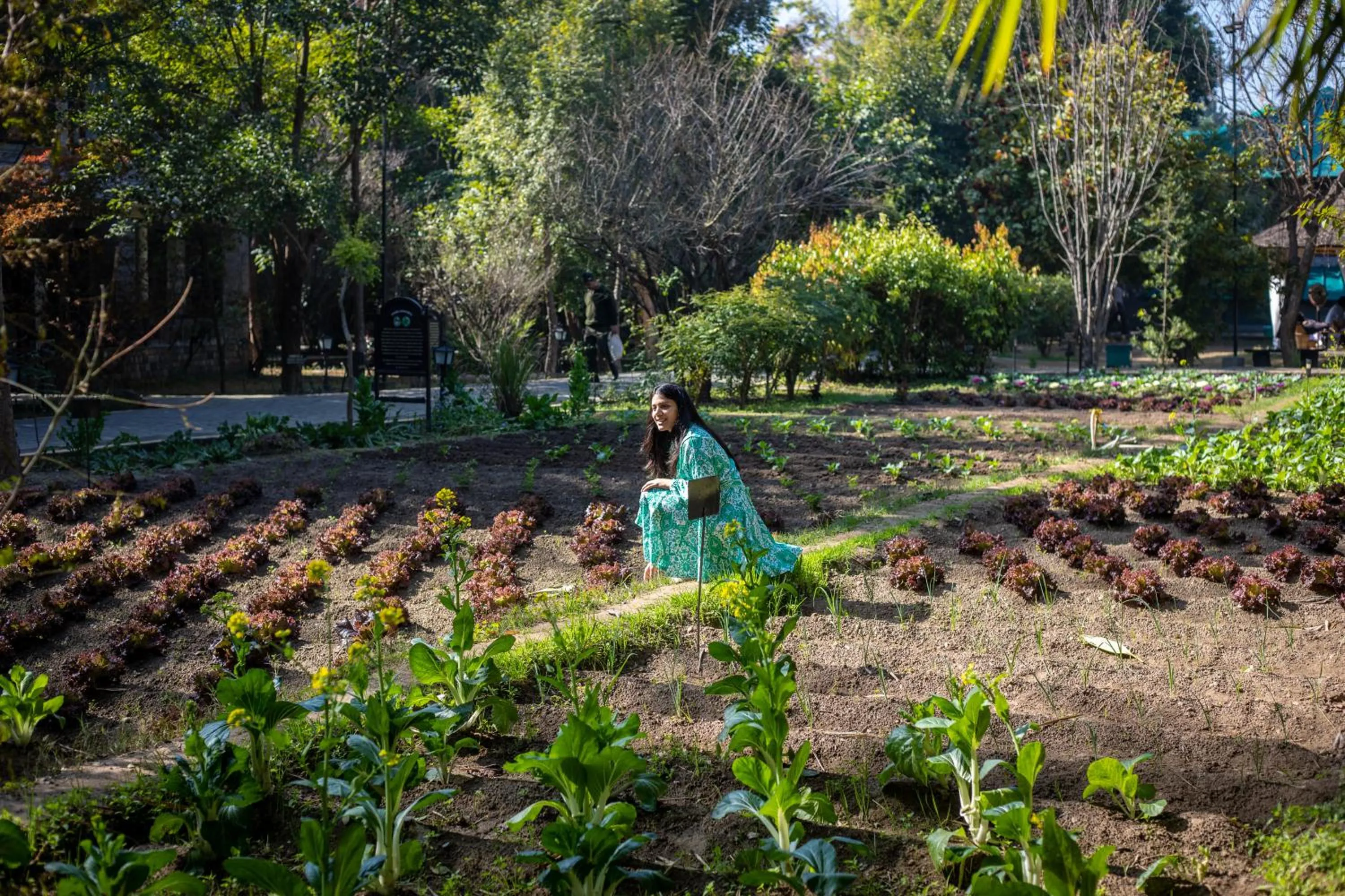 Activities in Aahana Resort - Jim Corbett
